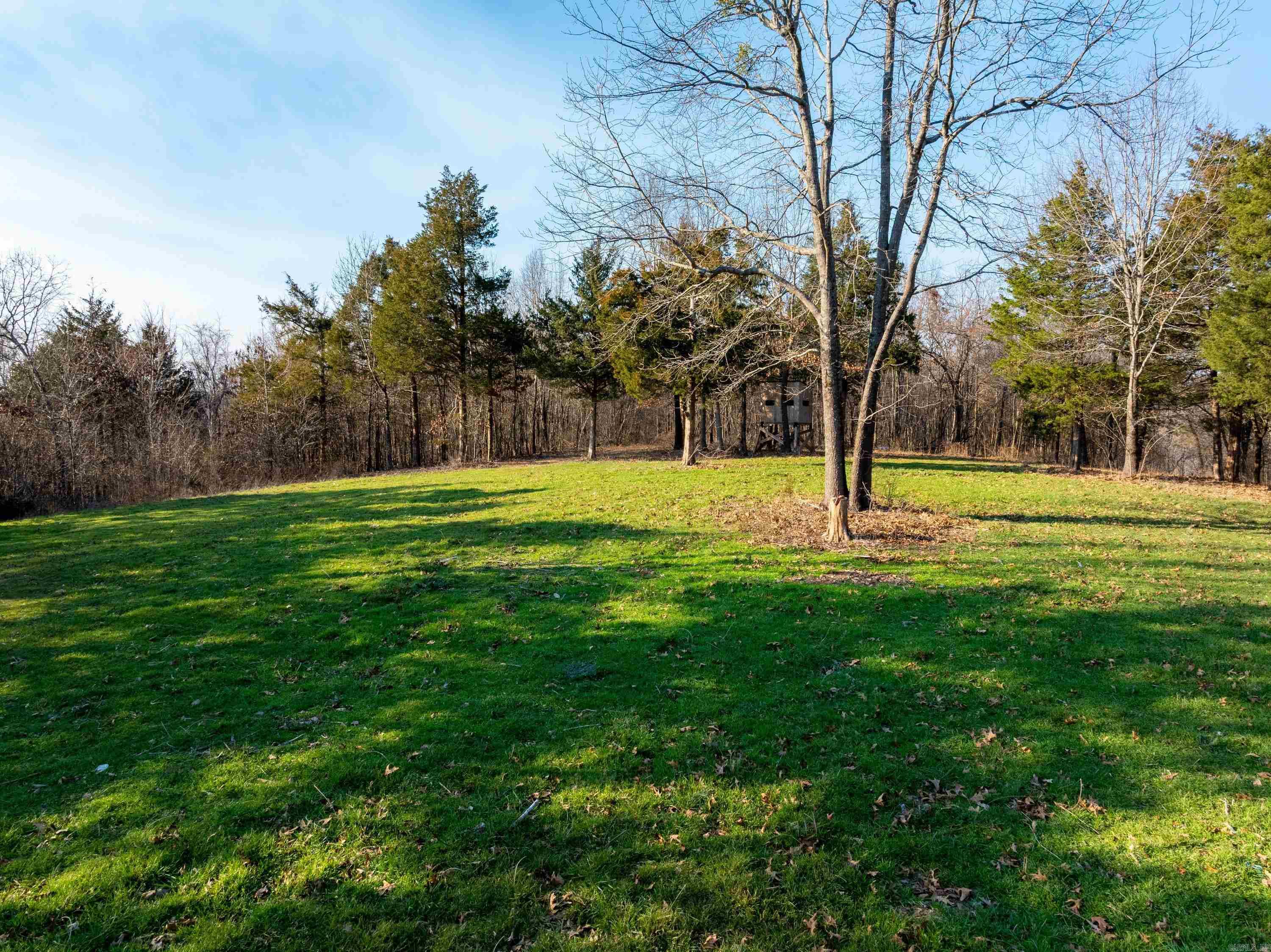  Collistown Rd  Cushman, AR