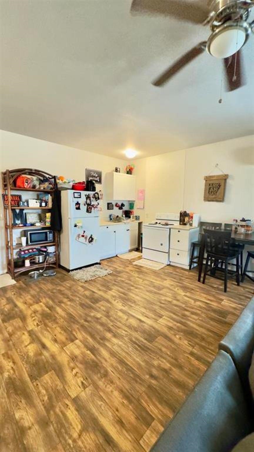 380 Jumbo  Melbourne, AR