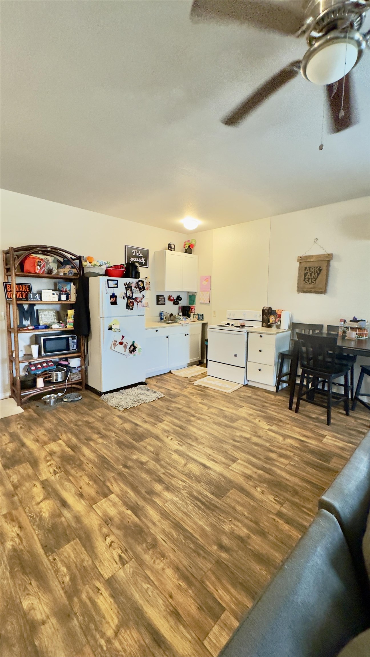 380 Jumbo  Melbourne, AR