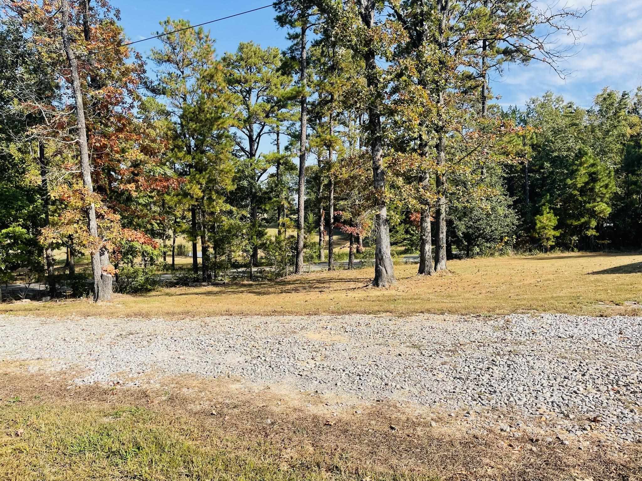 380 Jumbo  Melbourne, AR