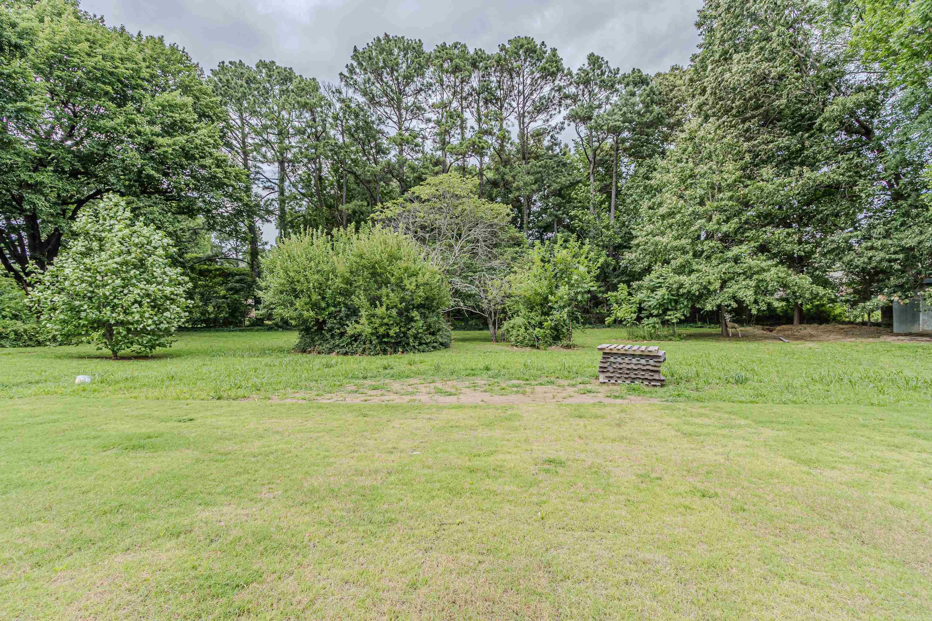 2011 Wildrose Paragould, AR 72450