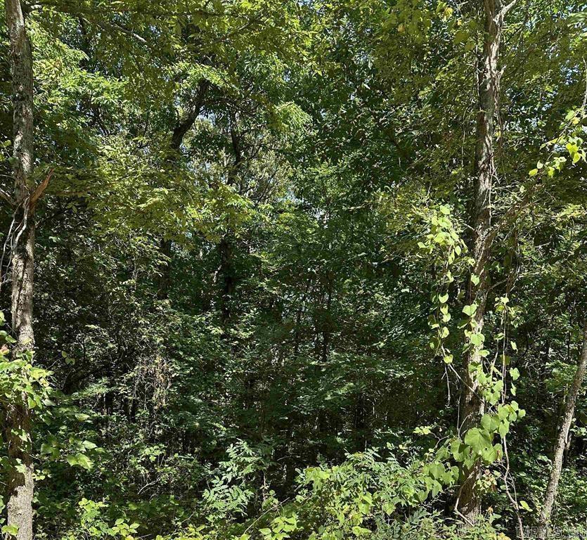 3.5 Acres Heber Springs  Locust Grove, AR