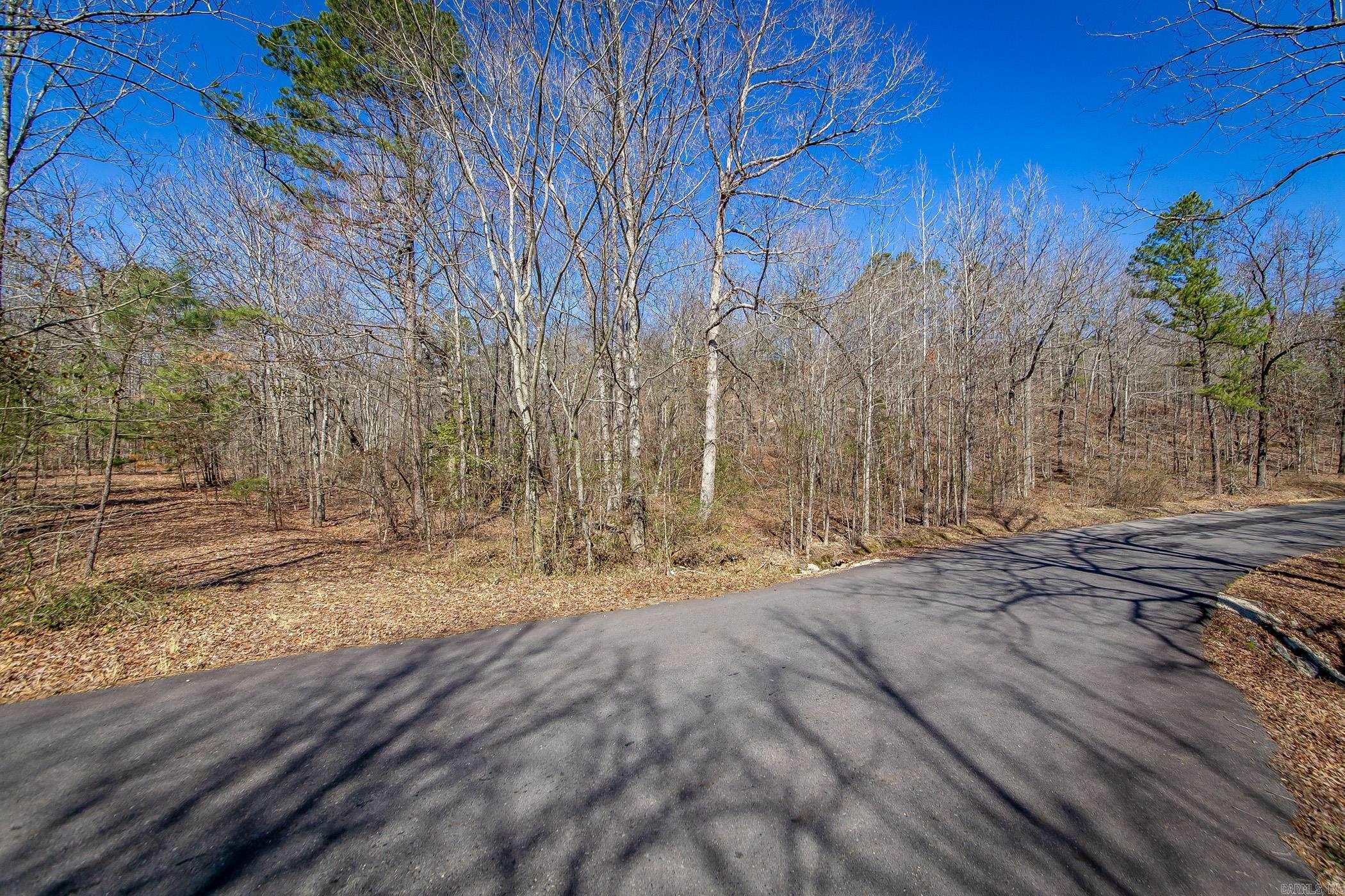 160 Fox Tail  Hot Springs, AR