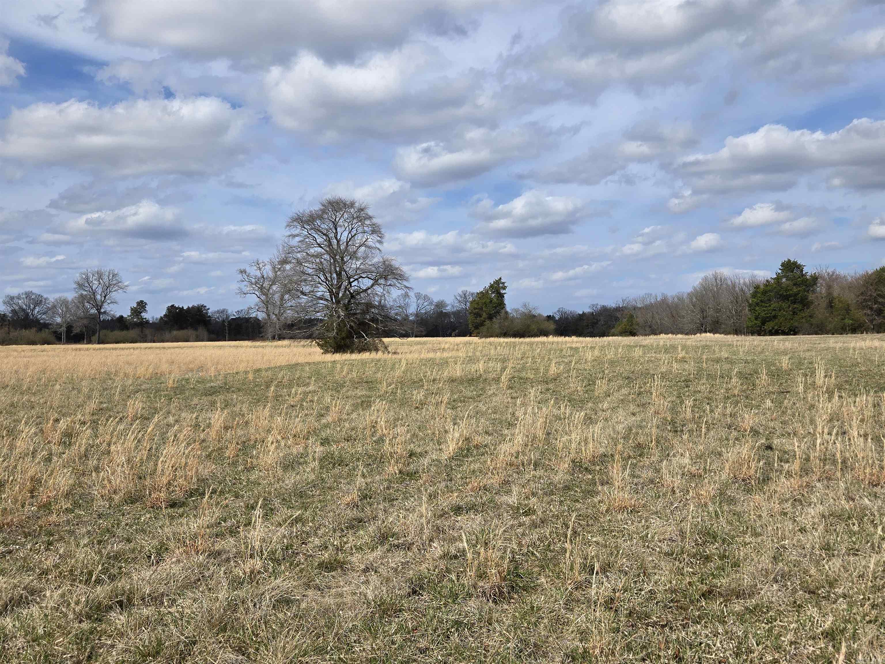 000 S Amity  Conway, AR