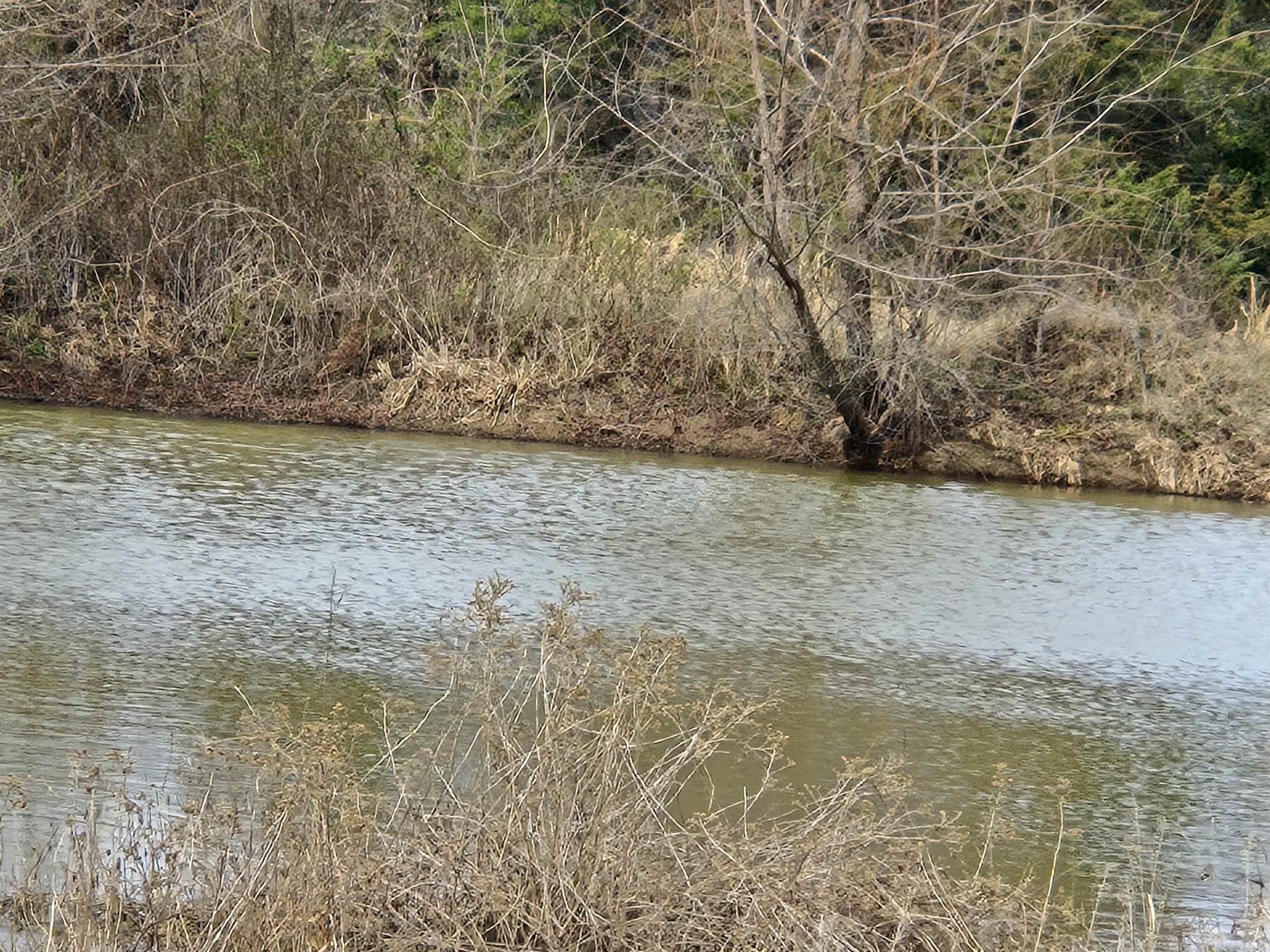 000 S Amity  Conway, AR