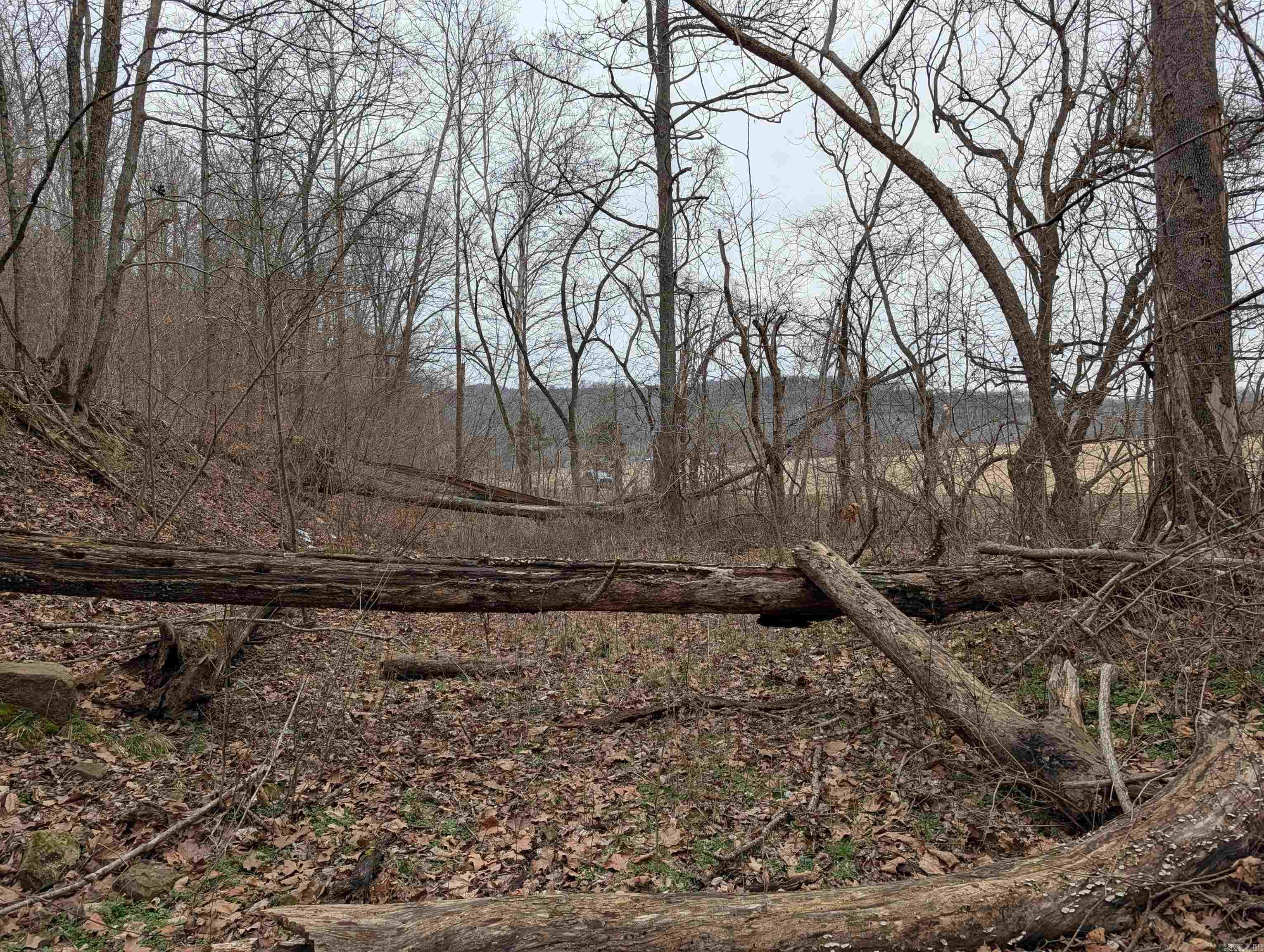 412 Hwy 412  Osage, AR