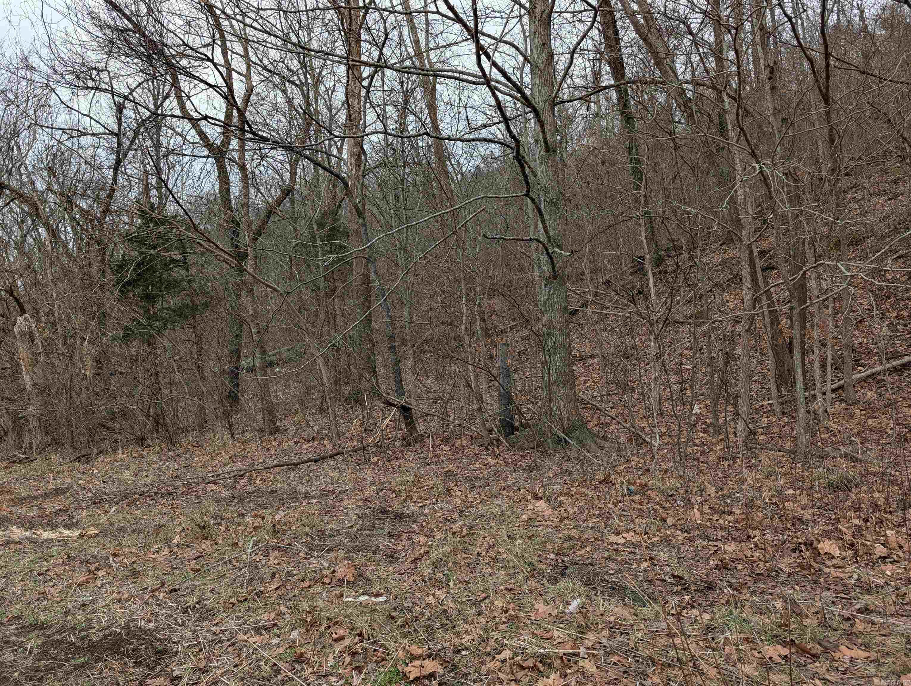 412 Hwy 412  Osage, AR