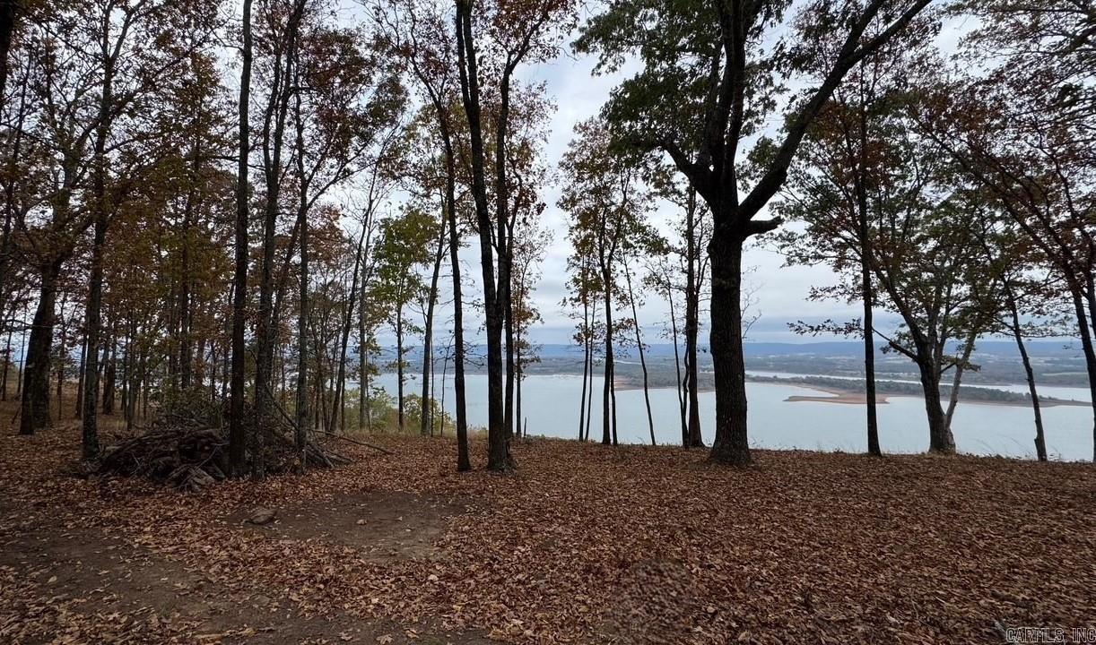 71 Sawyer  Quitman, AR