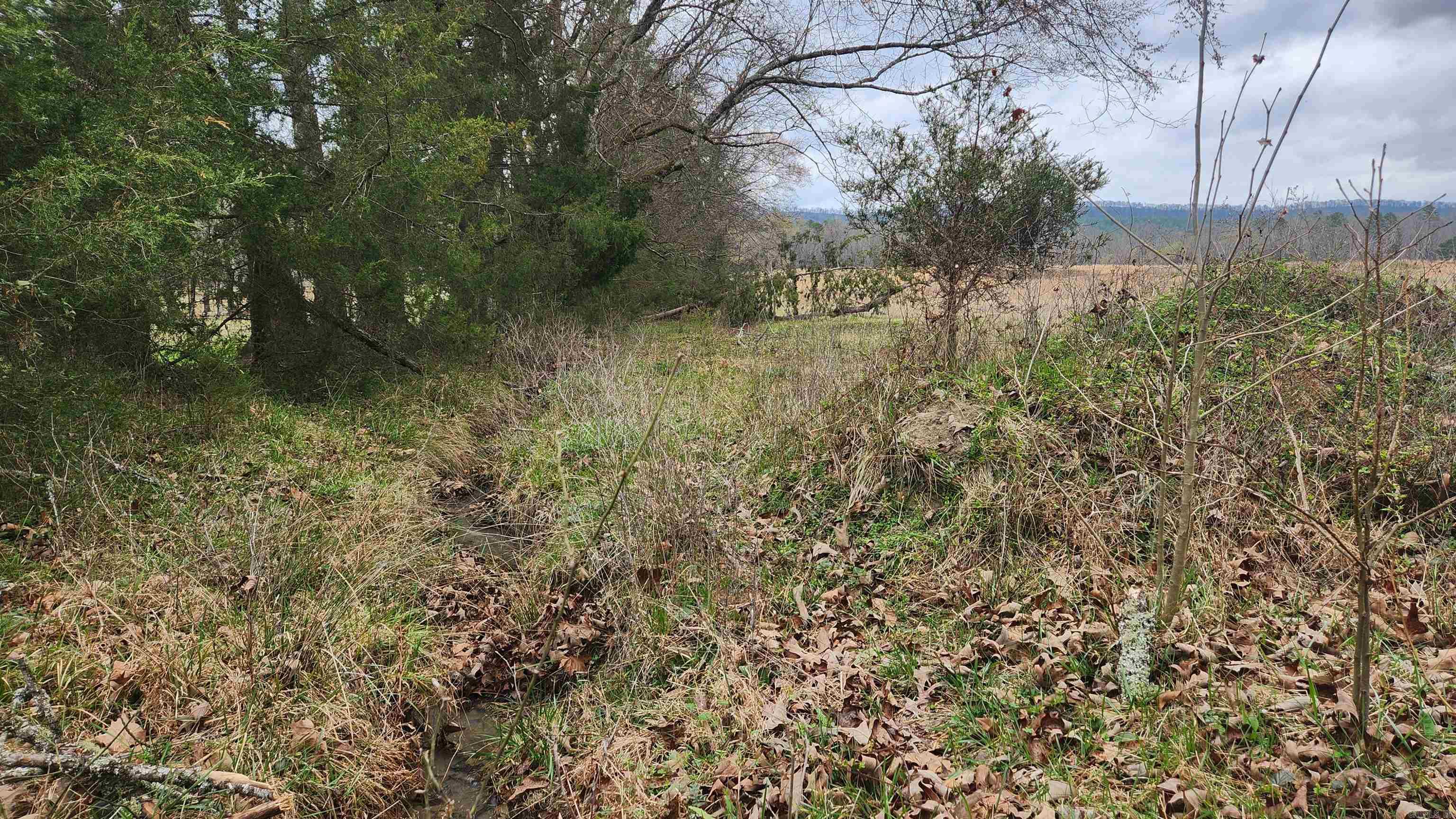 TBD Albert Pike Rd  Royal, AR