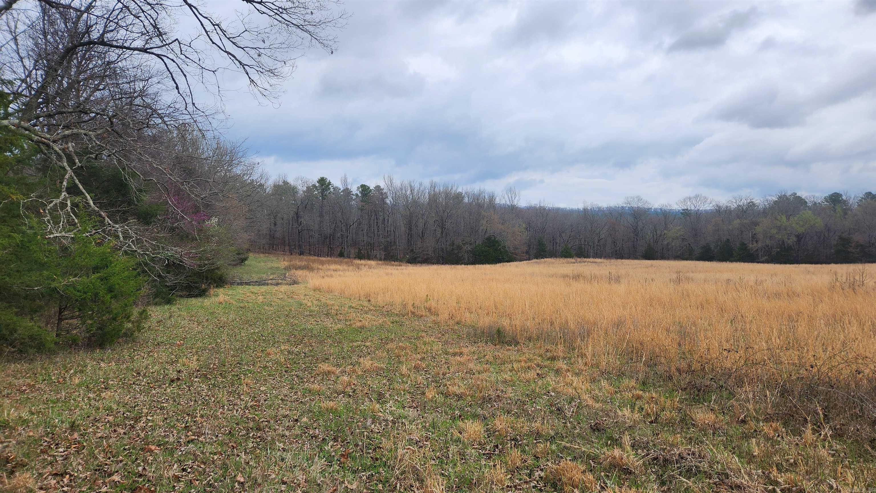 TBD Albert Pike Rd  Royal, AR