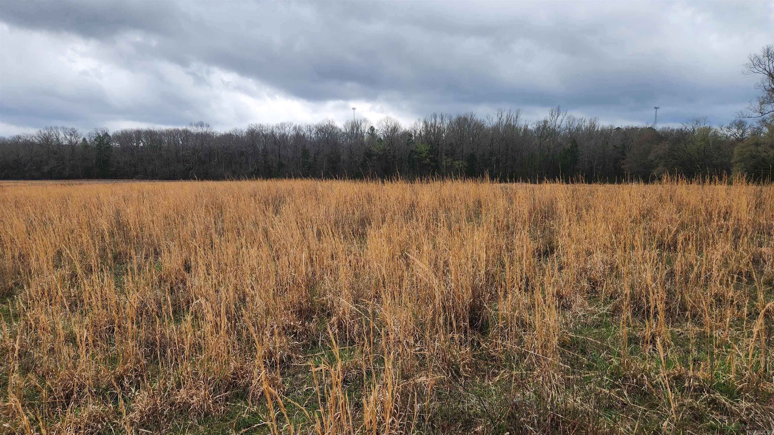 TBD Albert Pike Rd  Royal, AR