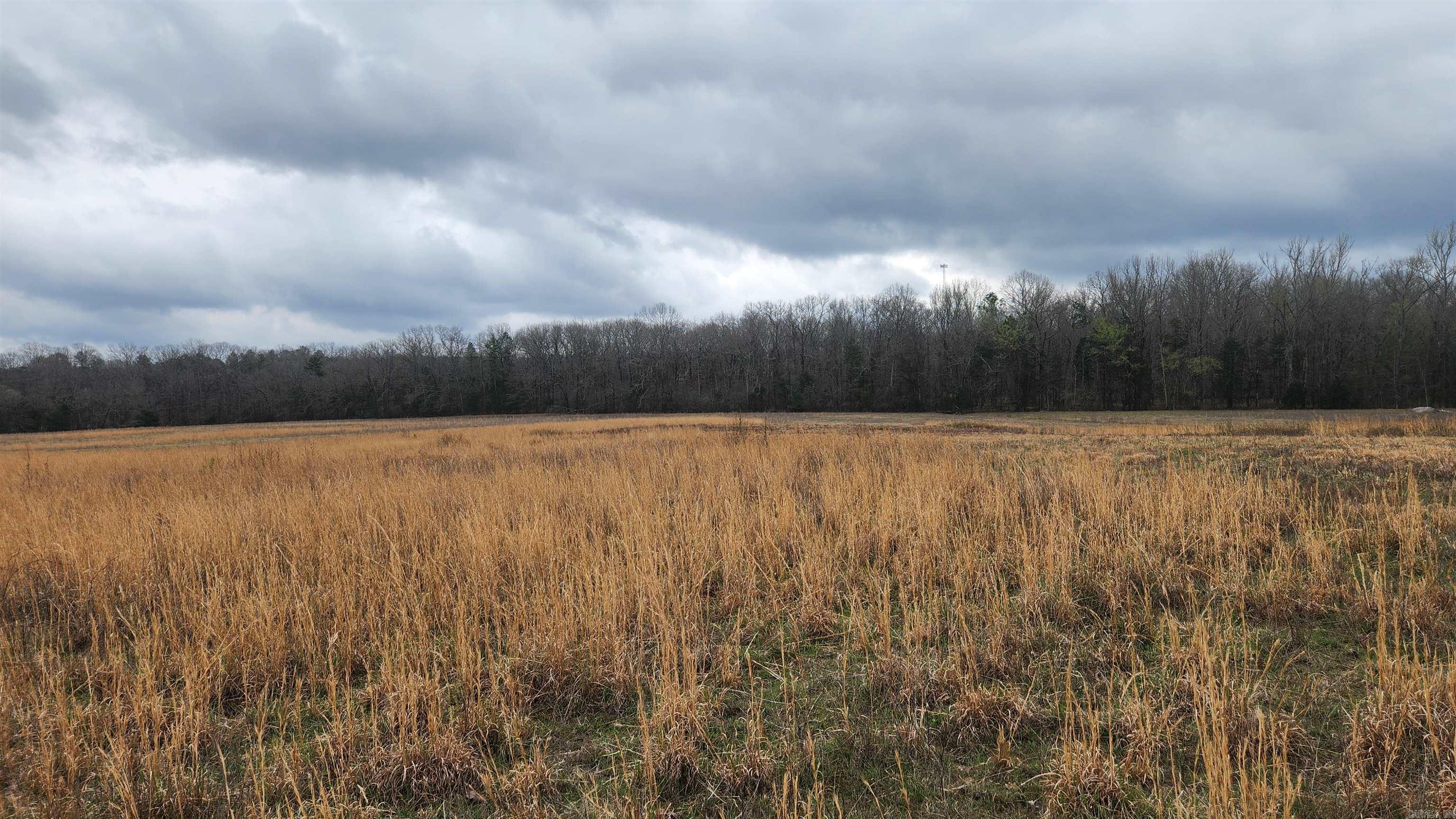 TBD Albert Pike Rd  Royal, AR