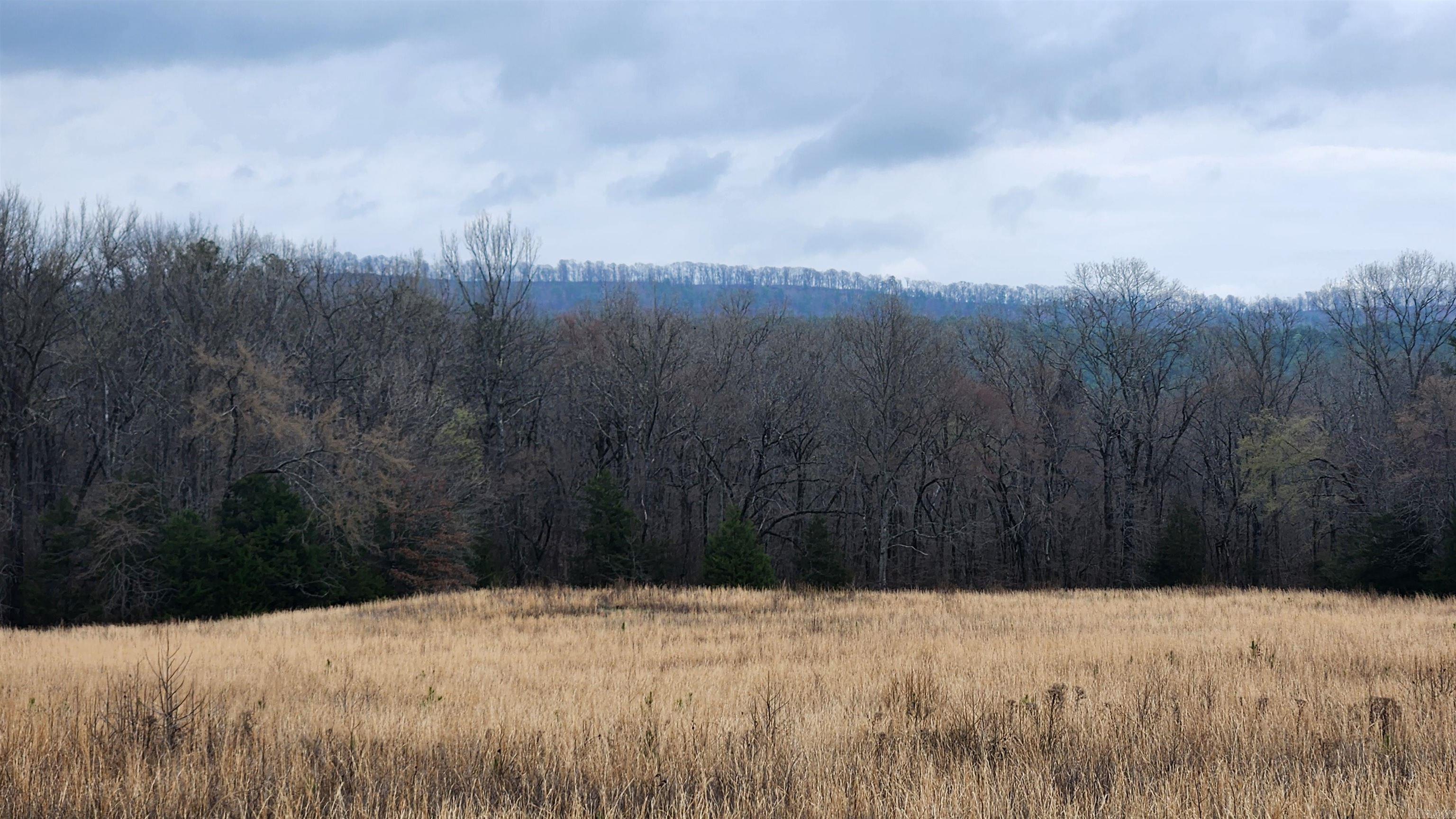 TBD Albert Pike Rd  Royal, AR