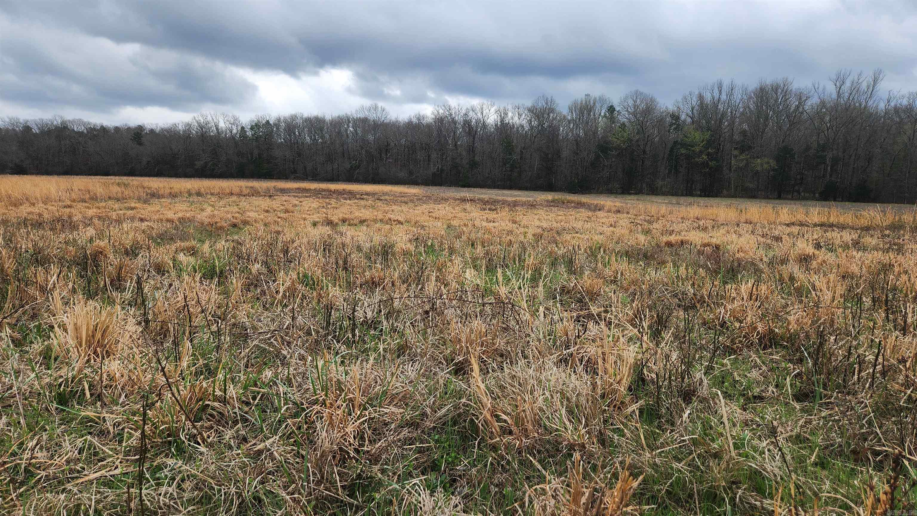 TBD Albert Pike Rd  Royal, AR