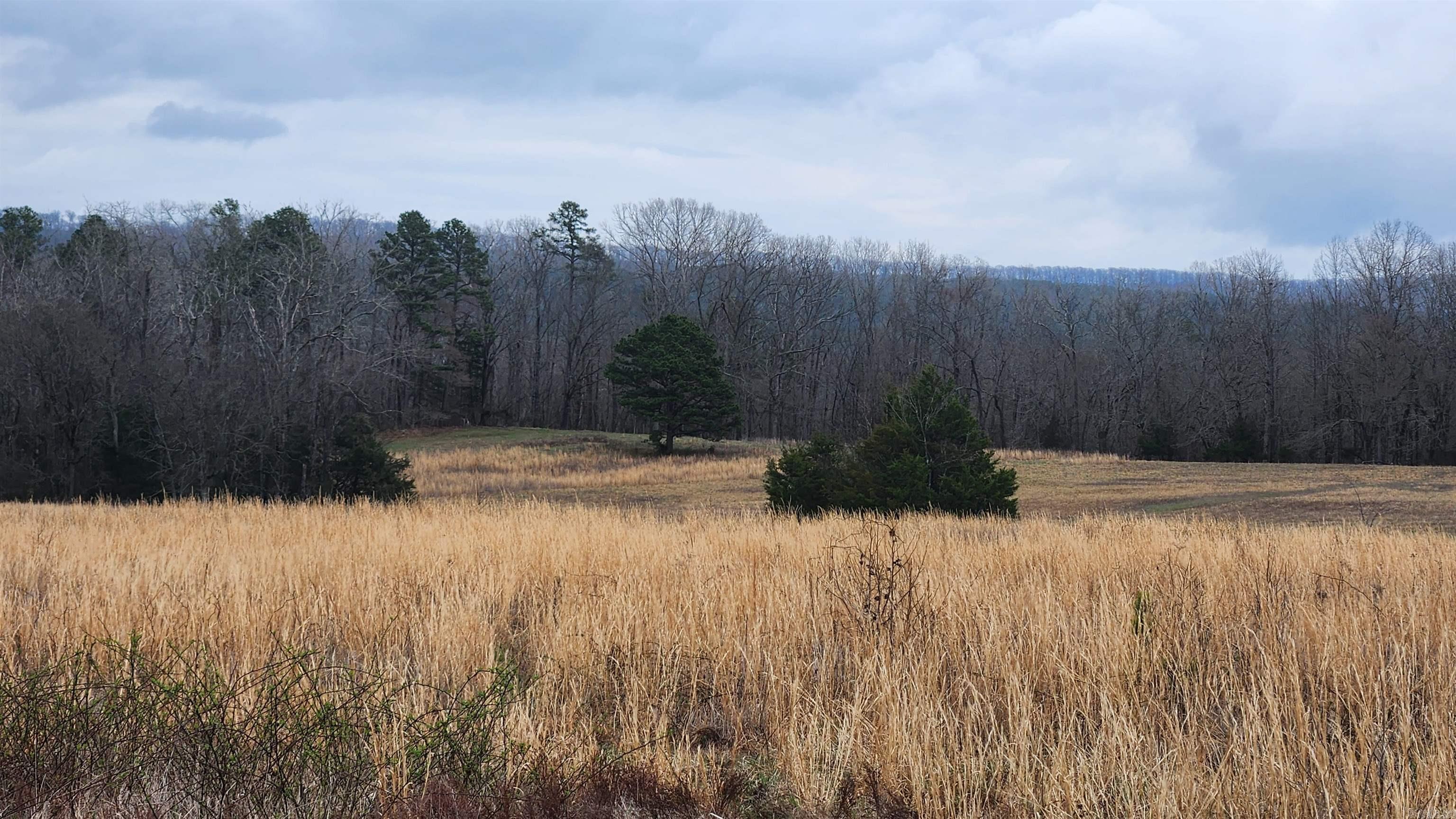 TBD Albert Pike Rd  Royal, AR