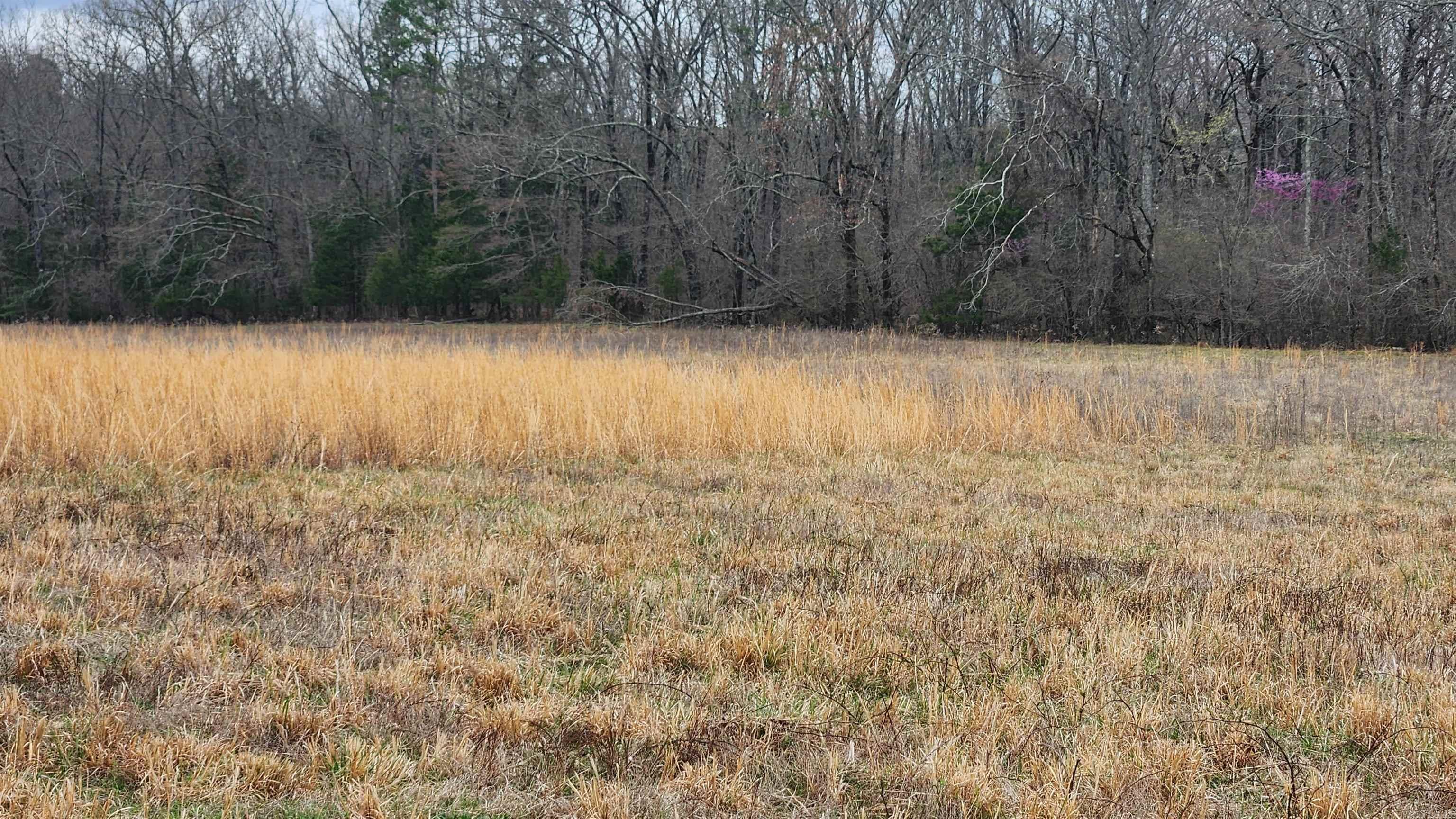 TBD Albert Pike Rd  Royal, AR