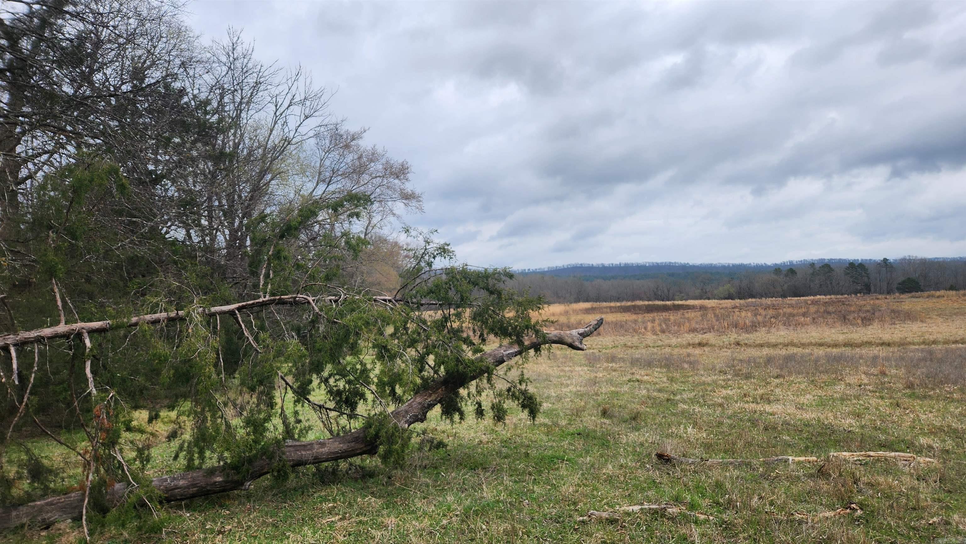 TBD Albert Pike Rd  Royal, AR