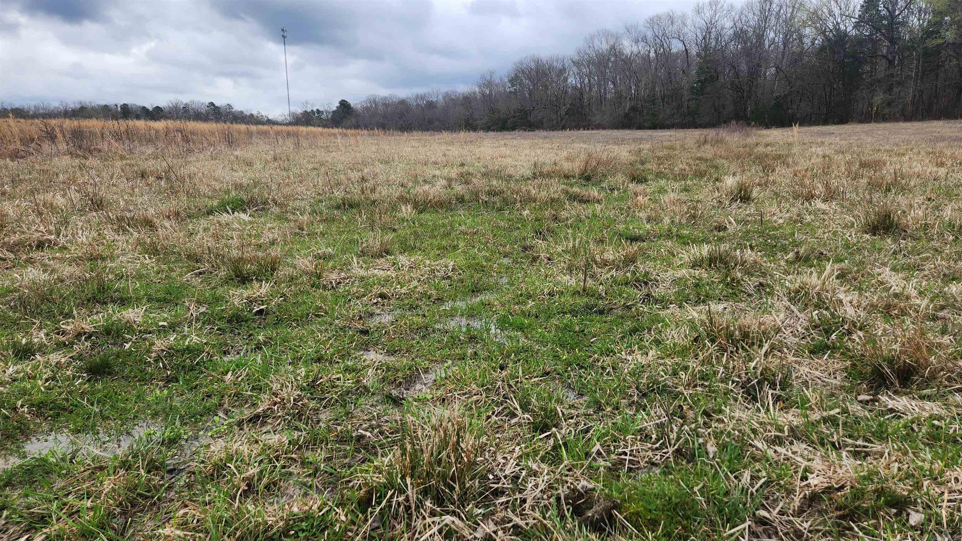 TBD Albert Pike Rd  Royal, AR