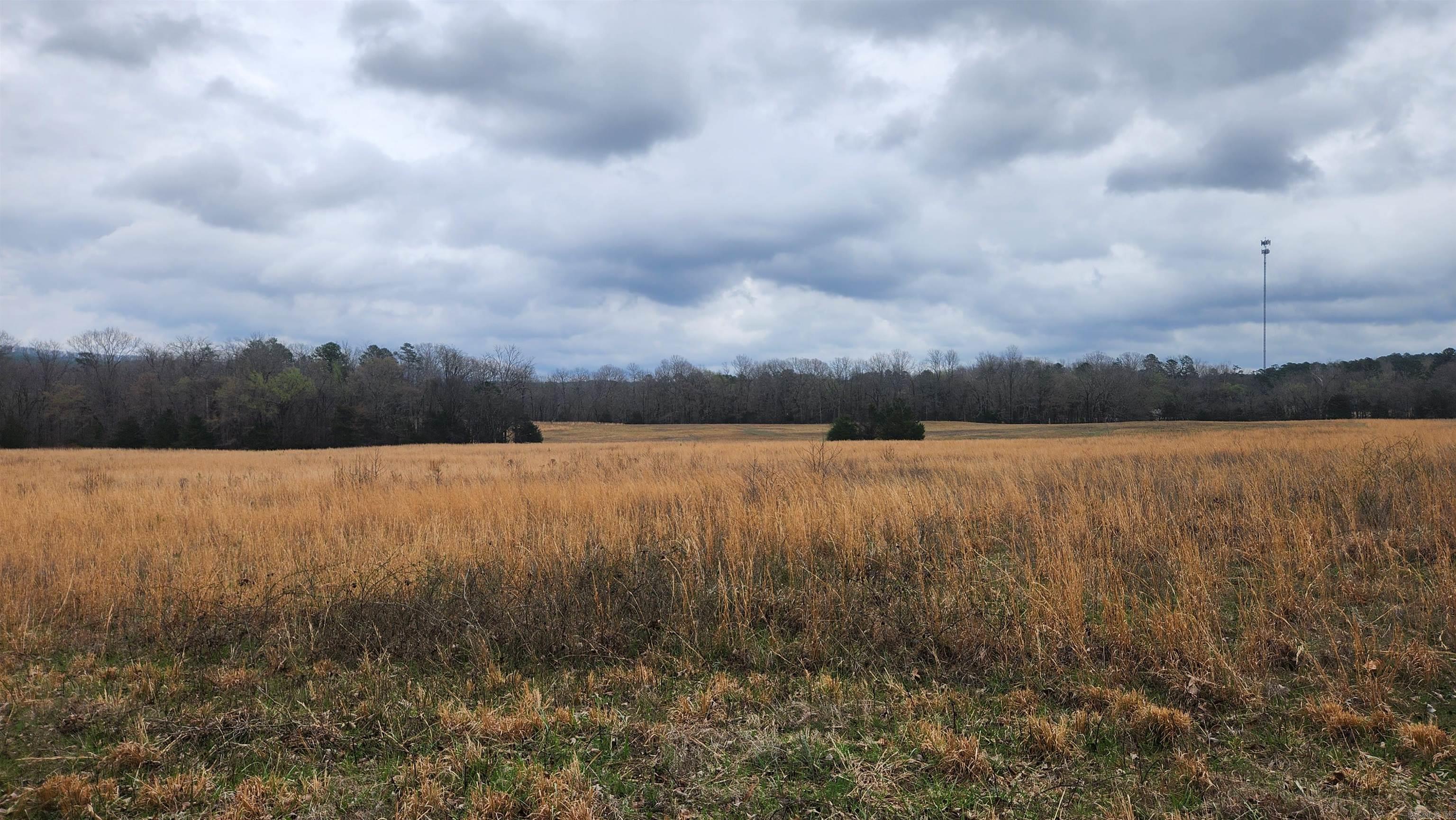 TBD Albert Pike Rd  Royal, AR