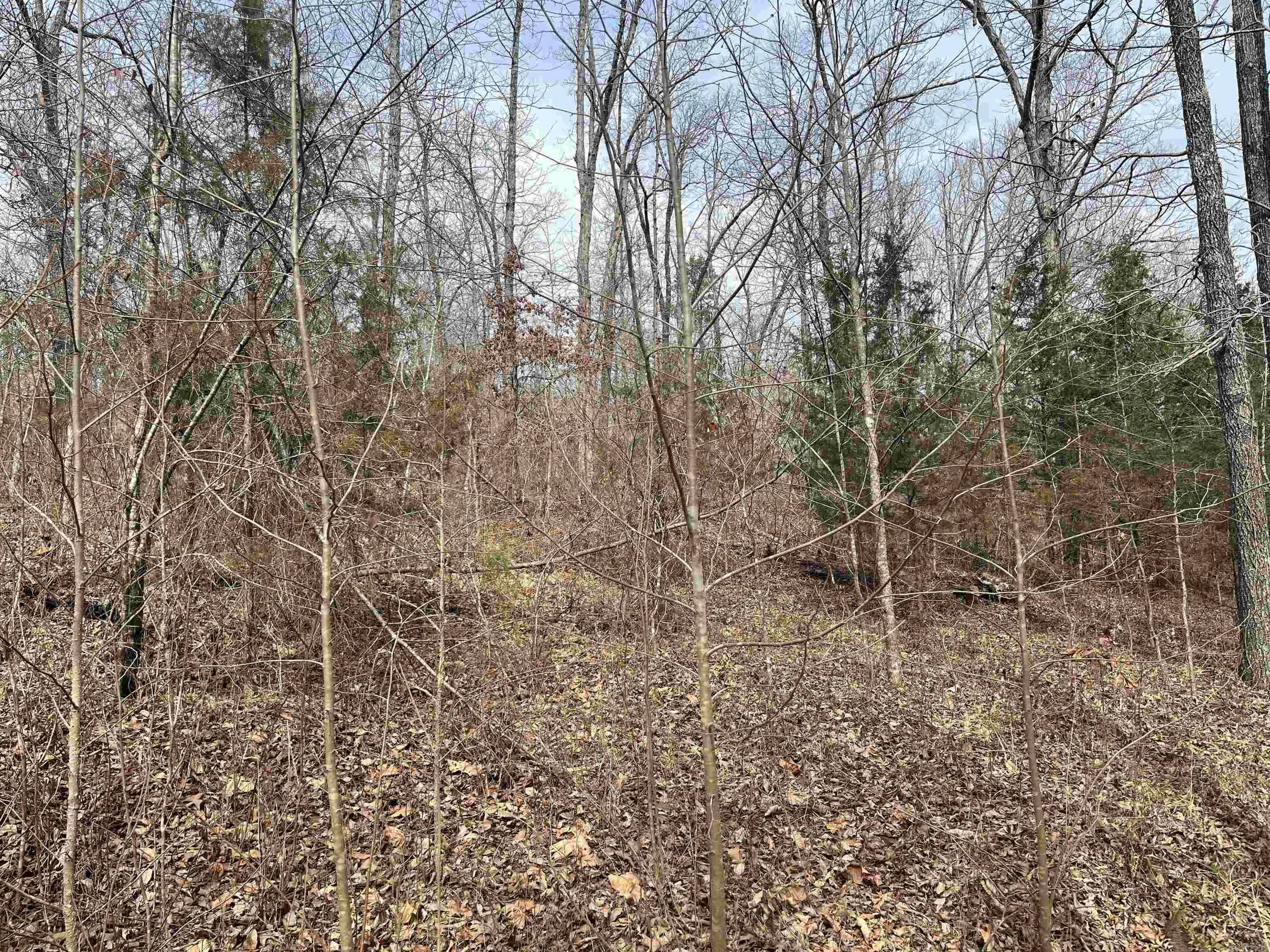 00 Endline  Marshall, AR