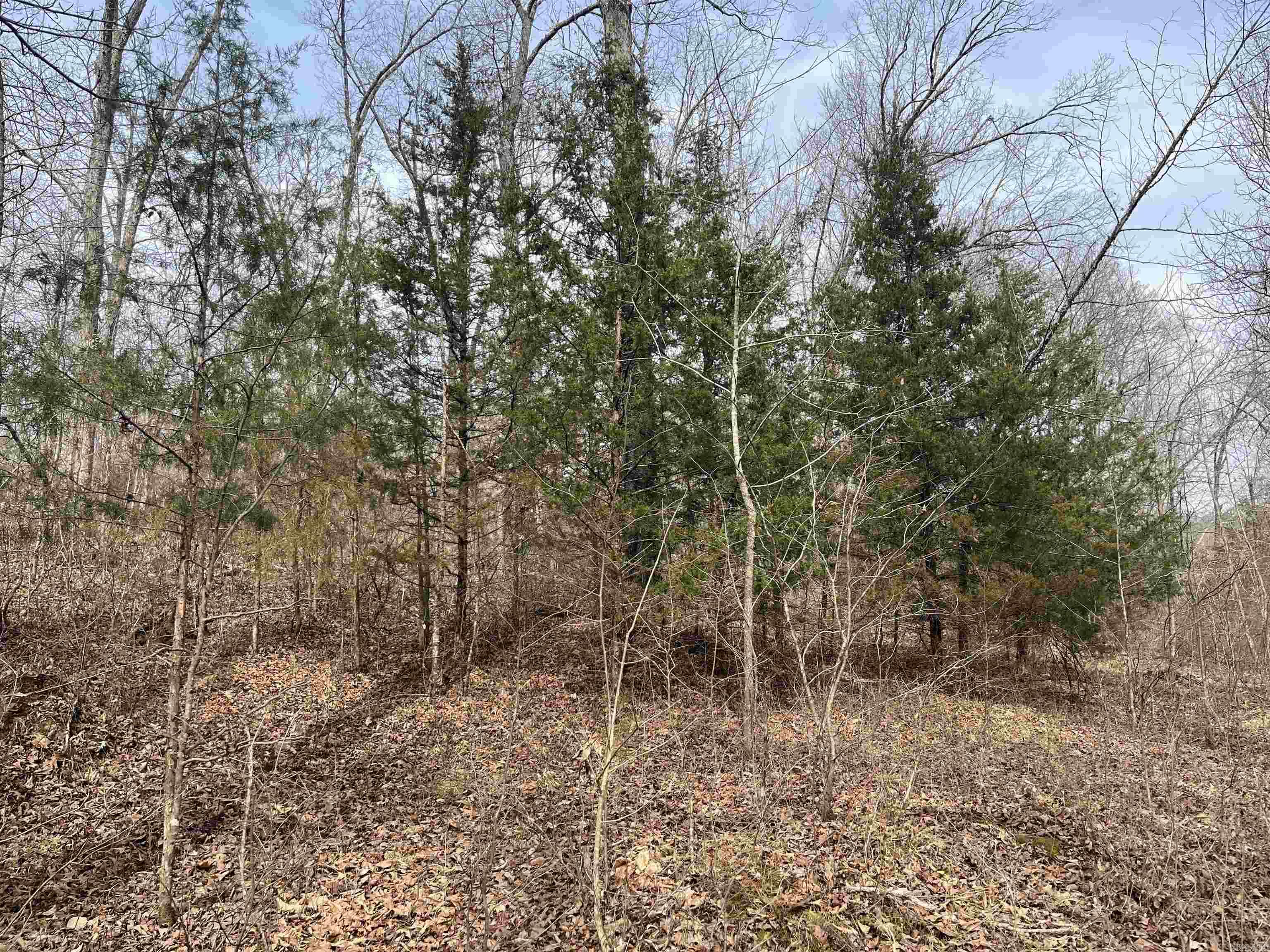 00 Endline  Marshall, AR