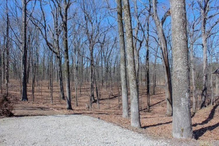 3428 County Road 318  Jonesboro, AR