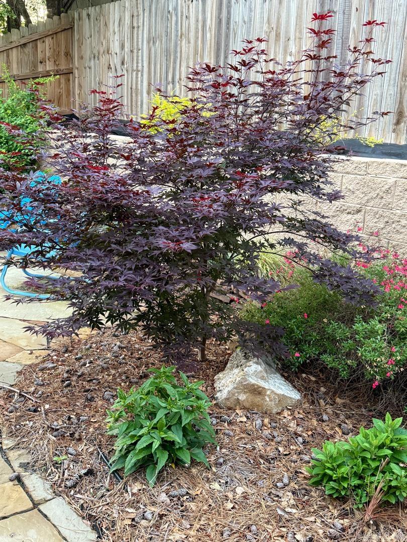 2612 Evonshire  Arkadelphia, AR