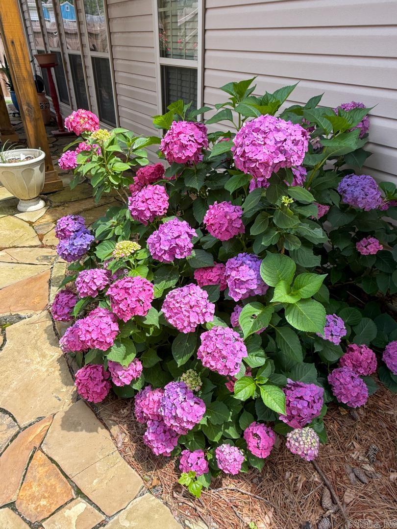 2612 Evonshire  Arkadelphia, AR