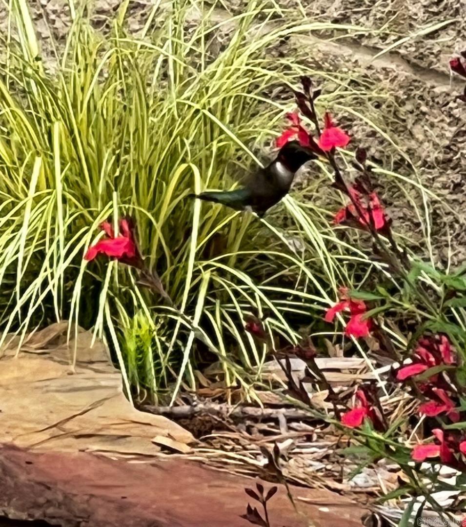 2612 Evonshire  Arkadelphia, AR