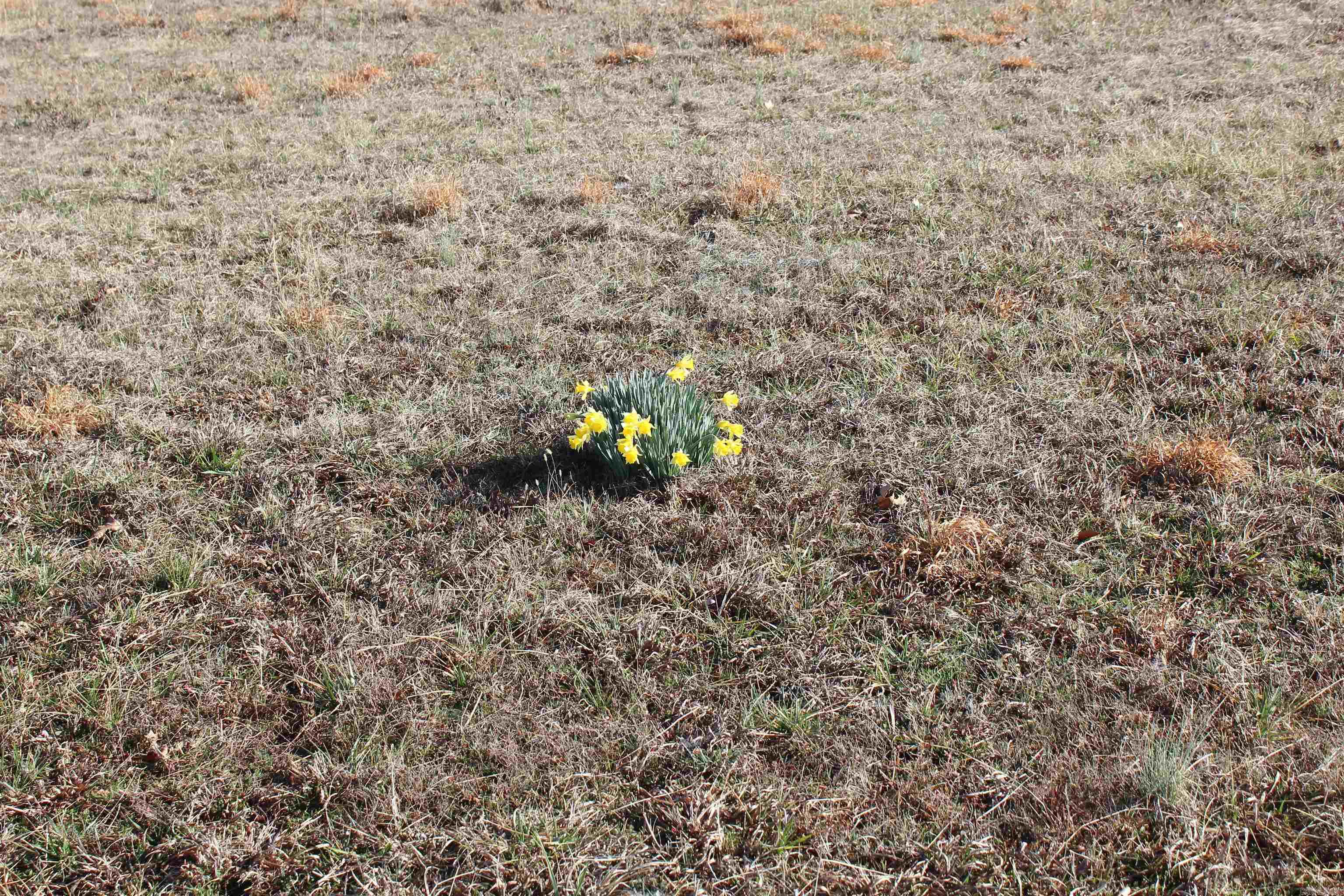 230 Ceder Creek Rd  Center Ridge, AR