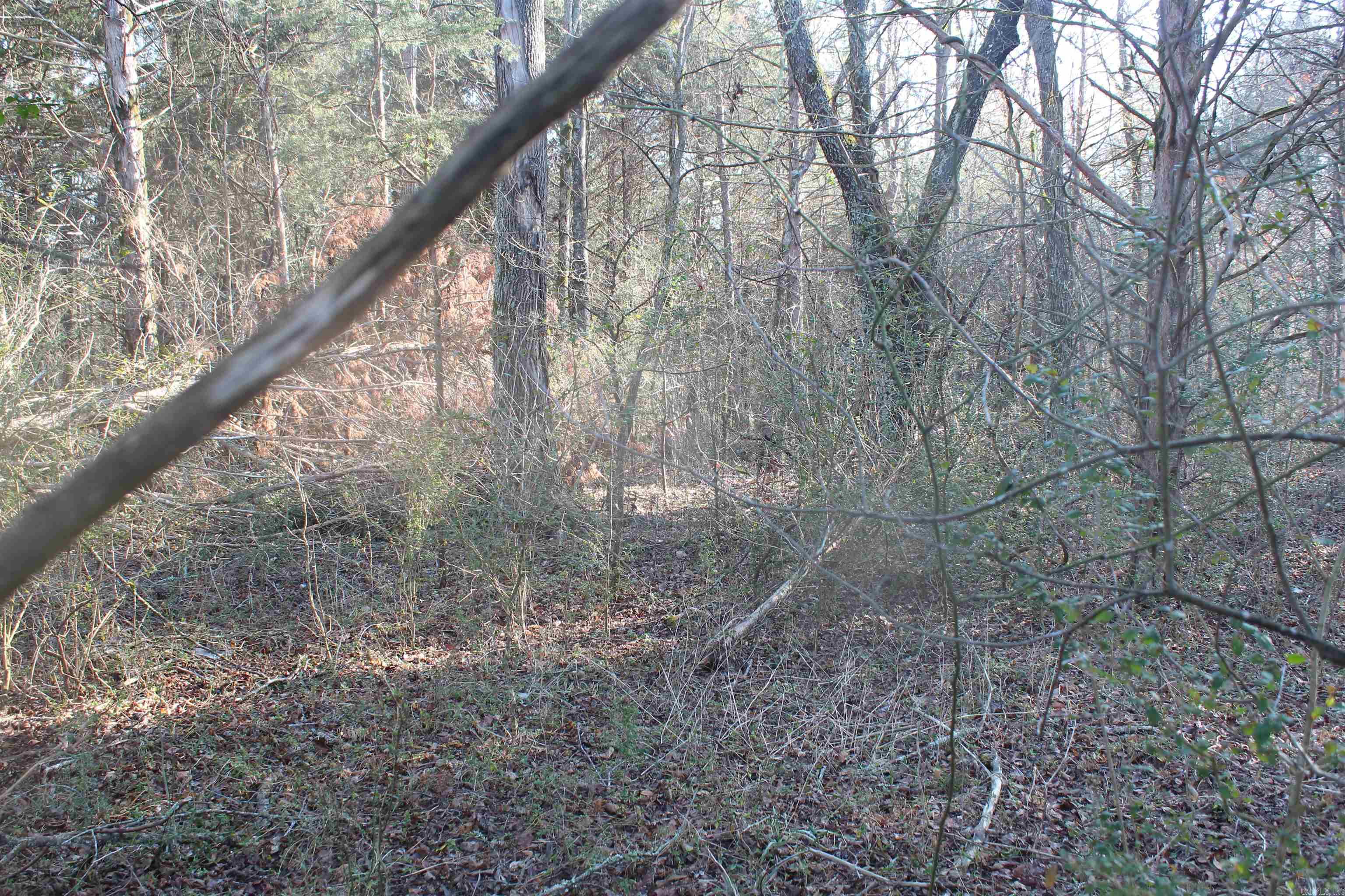 230 Ceder Creek Rd  Center Ridge, AR