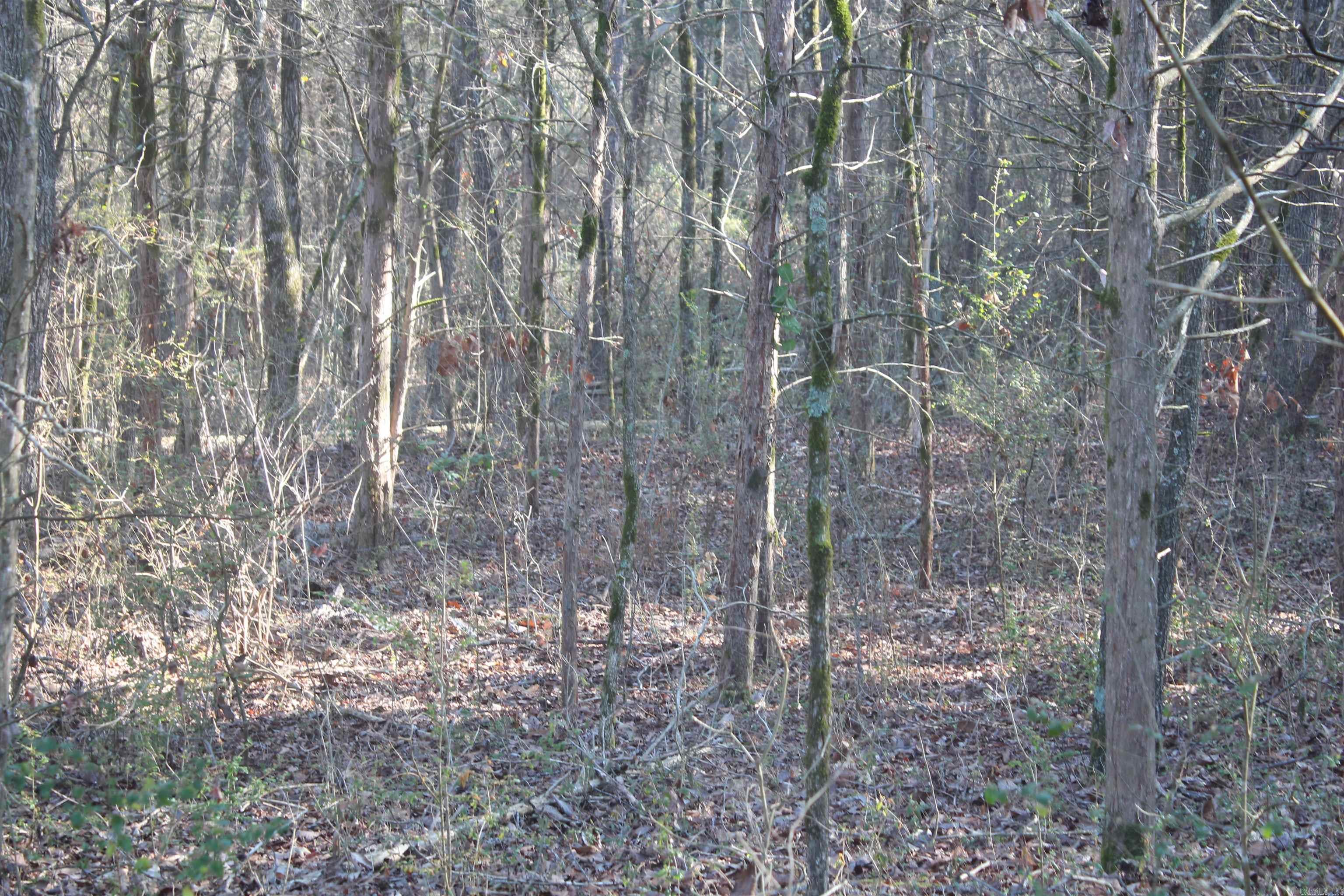 230 Ceder Creek Rd  Center Ridge, AR