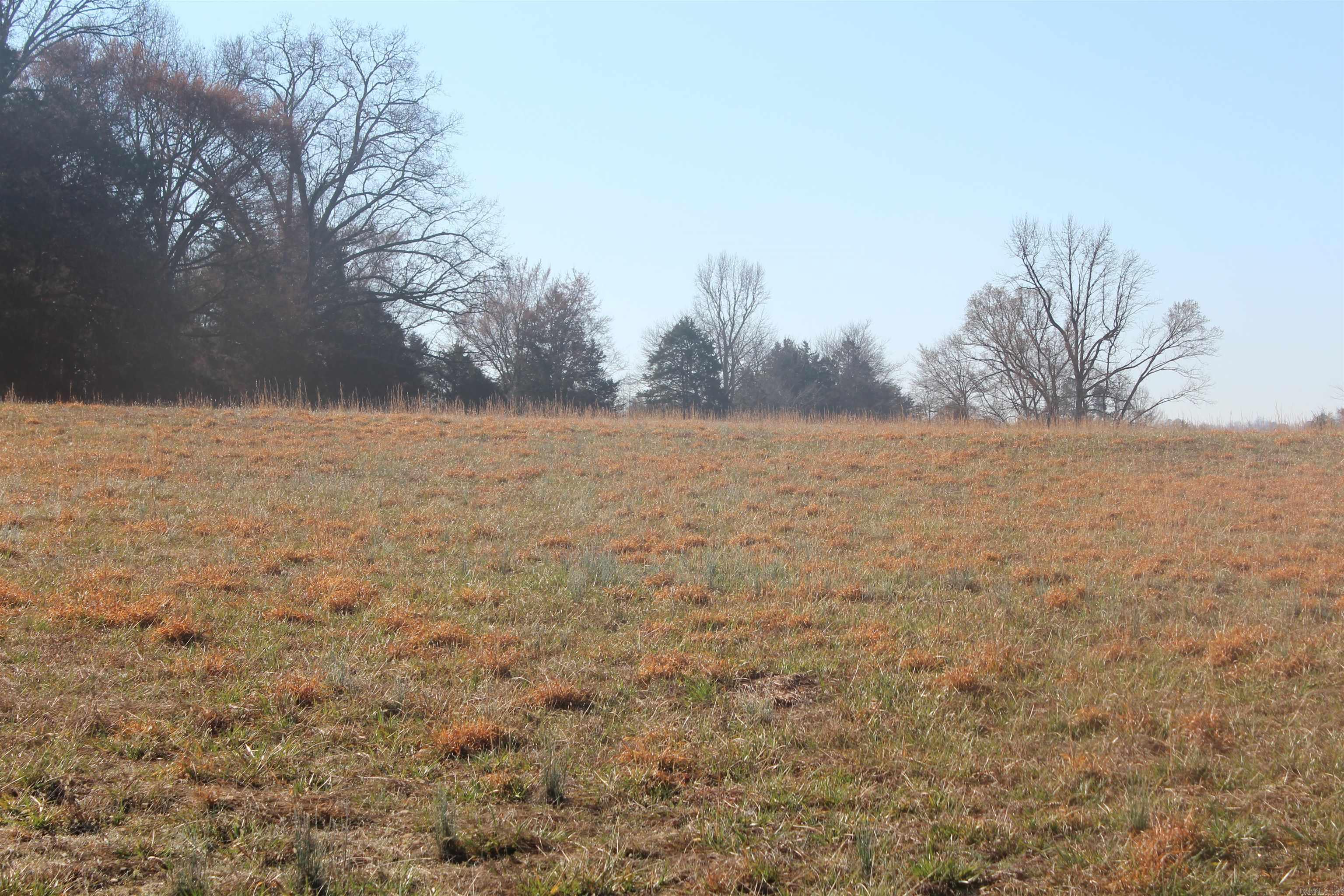 230 Ceder Creek Rd  Center Ridge, AR