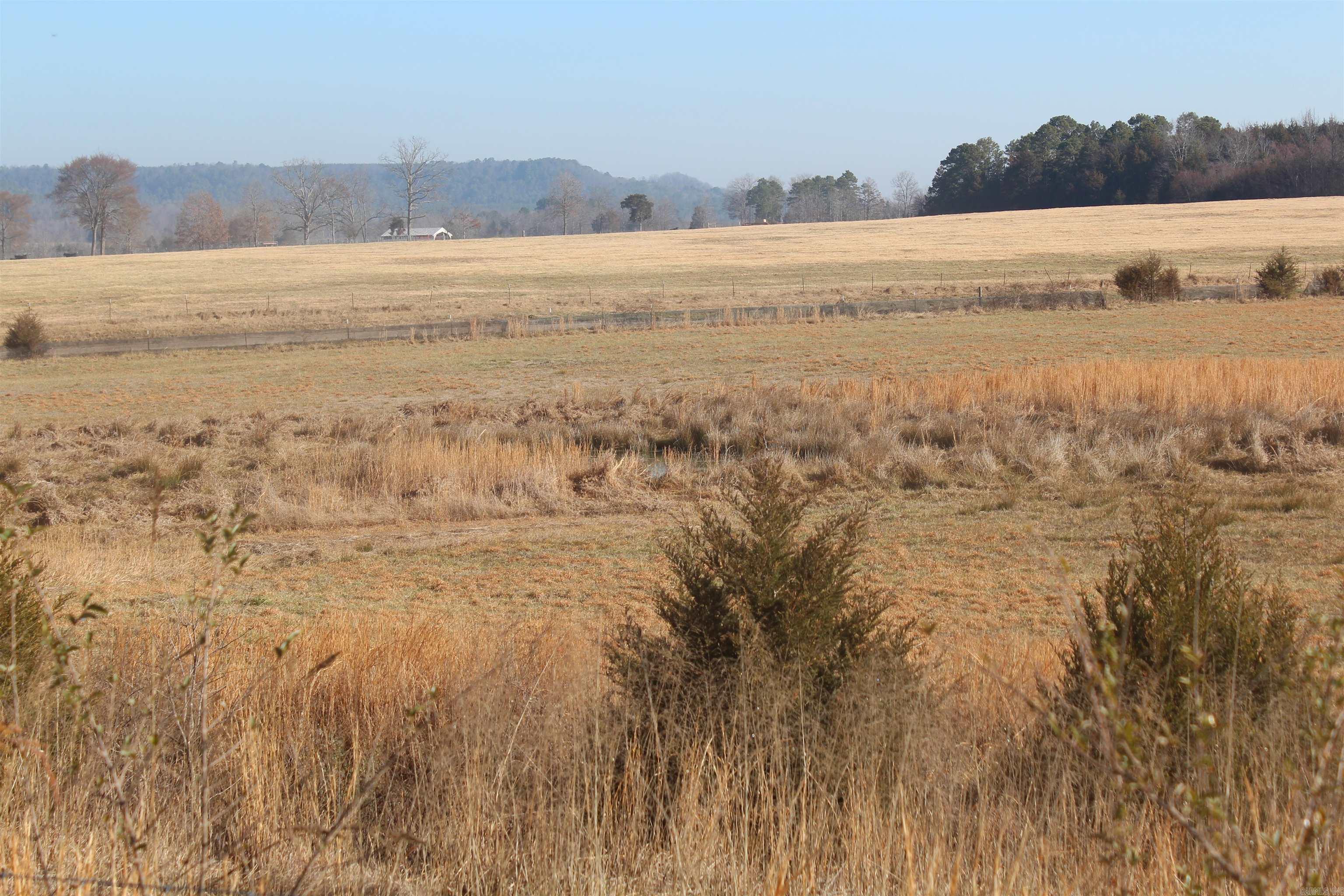 230 Ceder Creek Rd  Center Ridge, AR