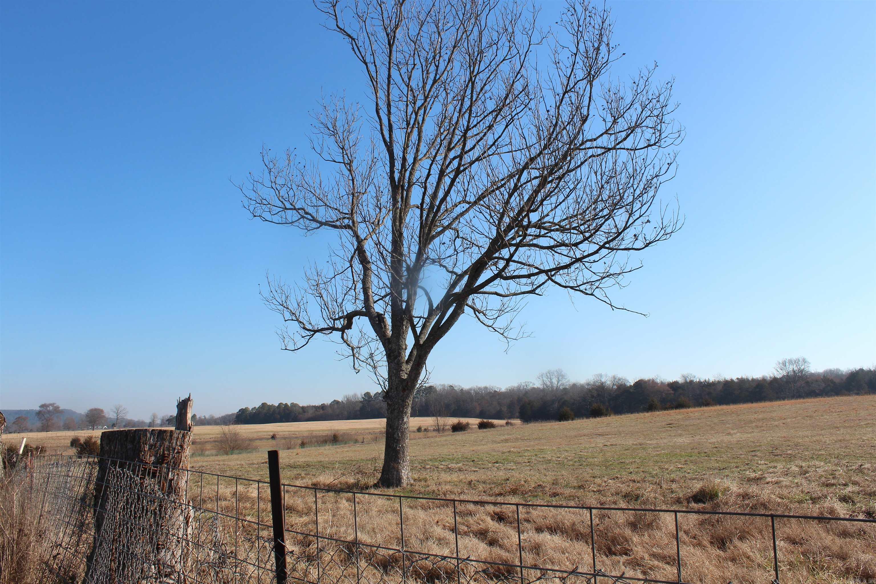 230 Ceder Creek Rd  Center Ridge, AR