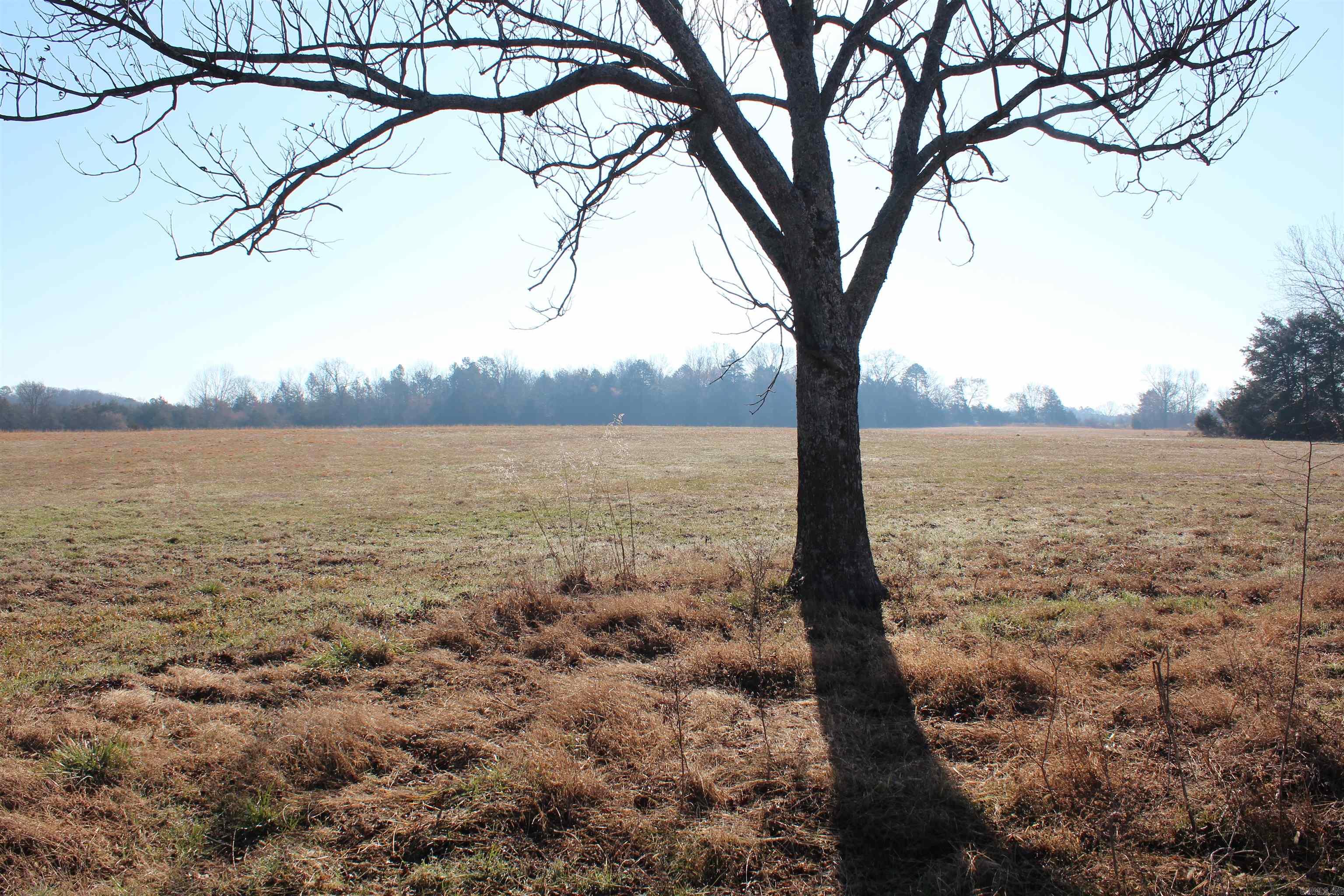 230 Ceder Creek Rd  Center Ridge, AR