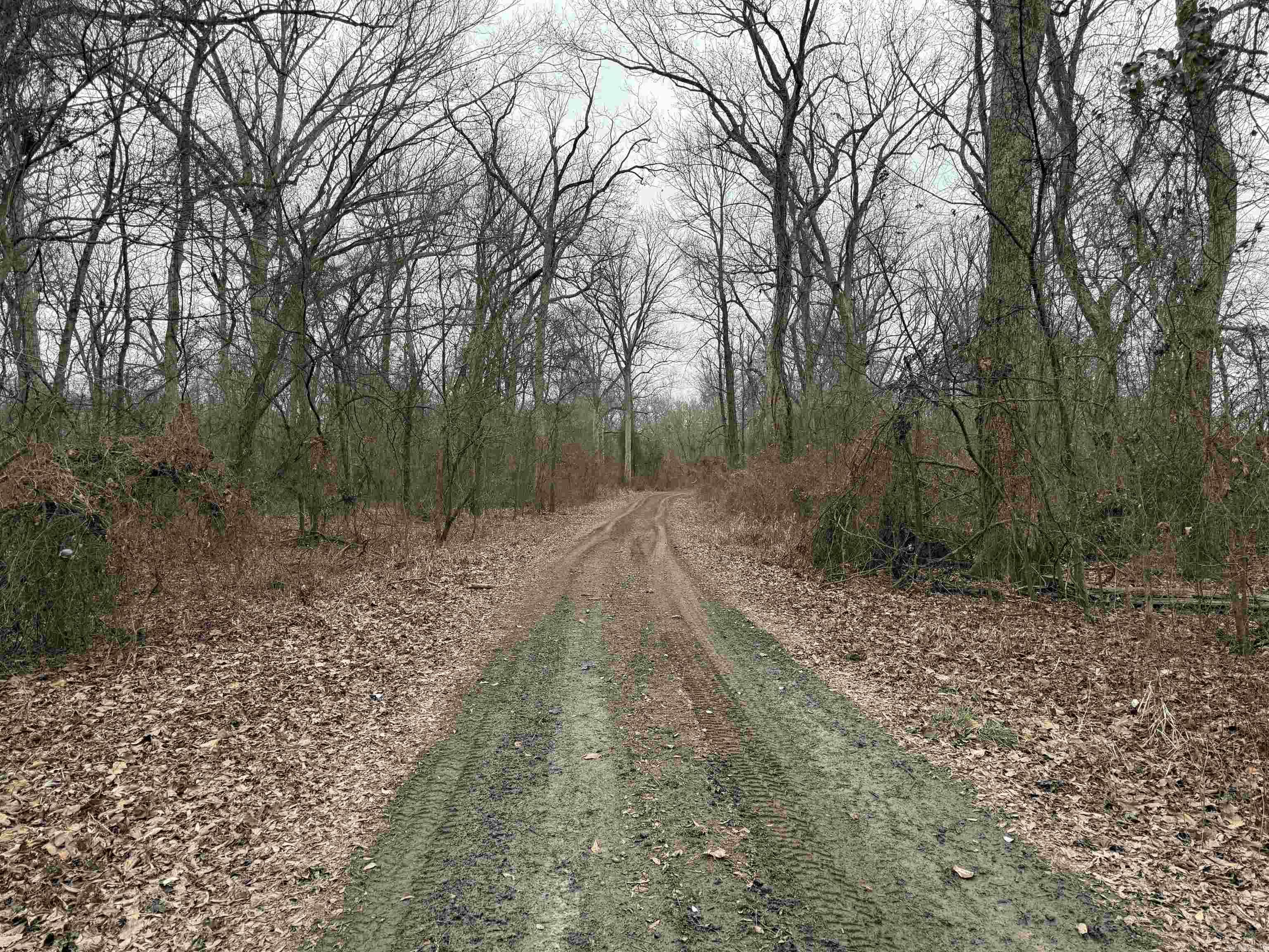 000 CR 884  Augusta, AR