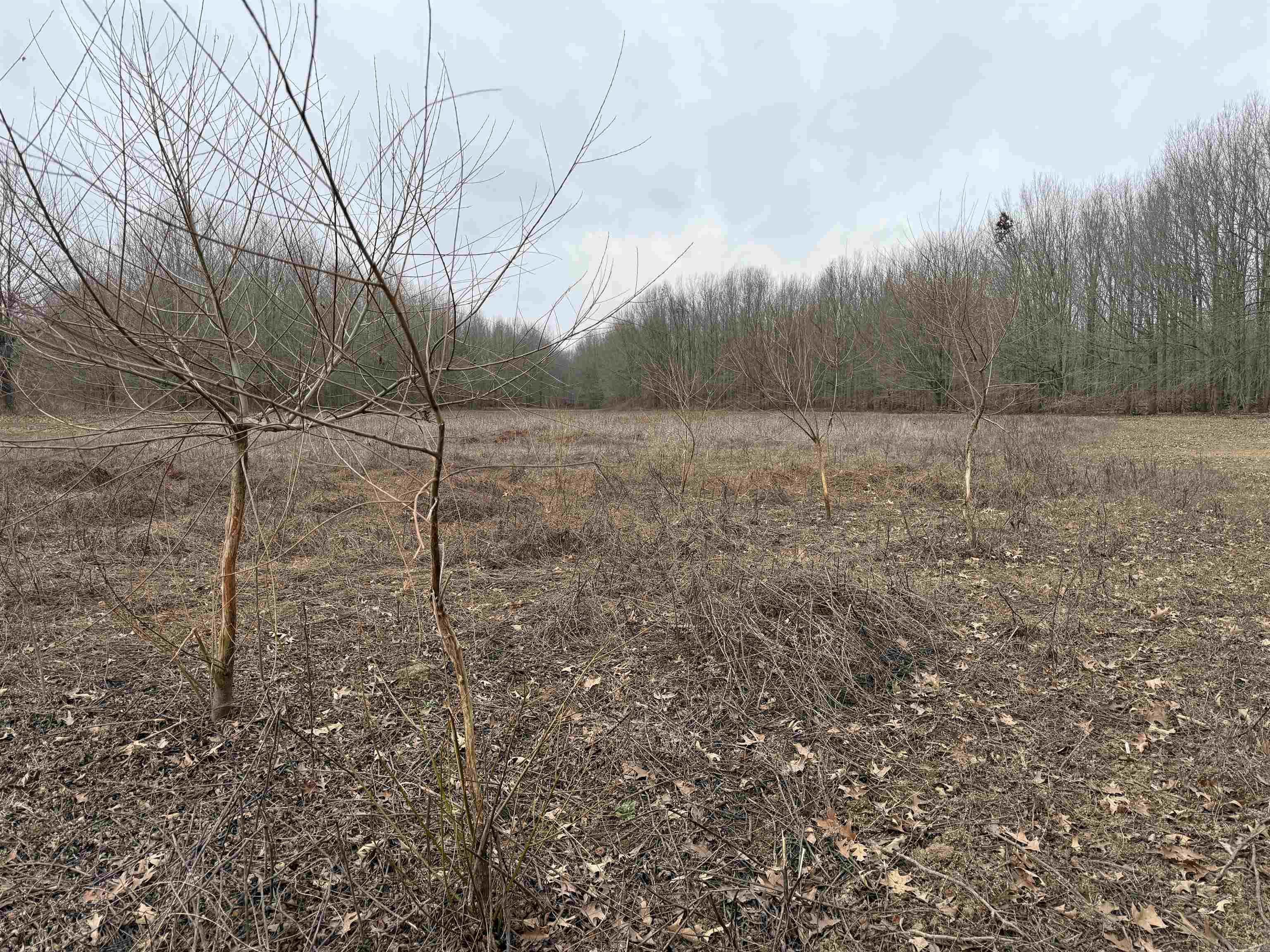 000 CR 884  Augusta, AR