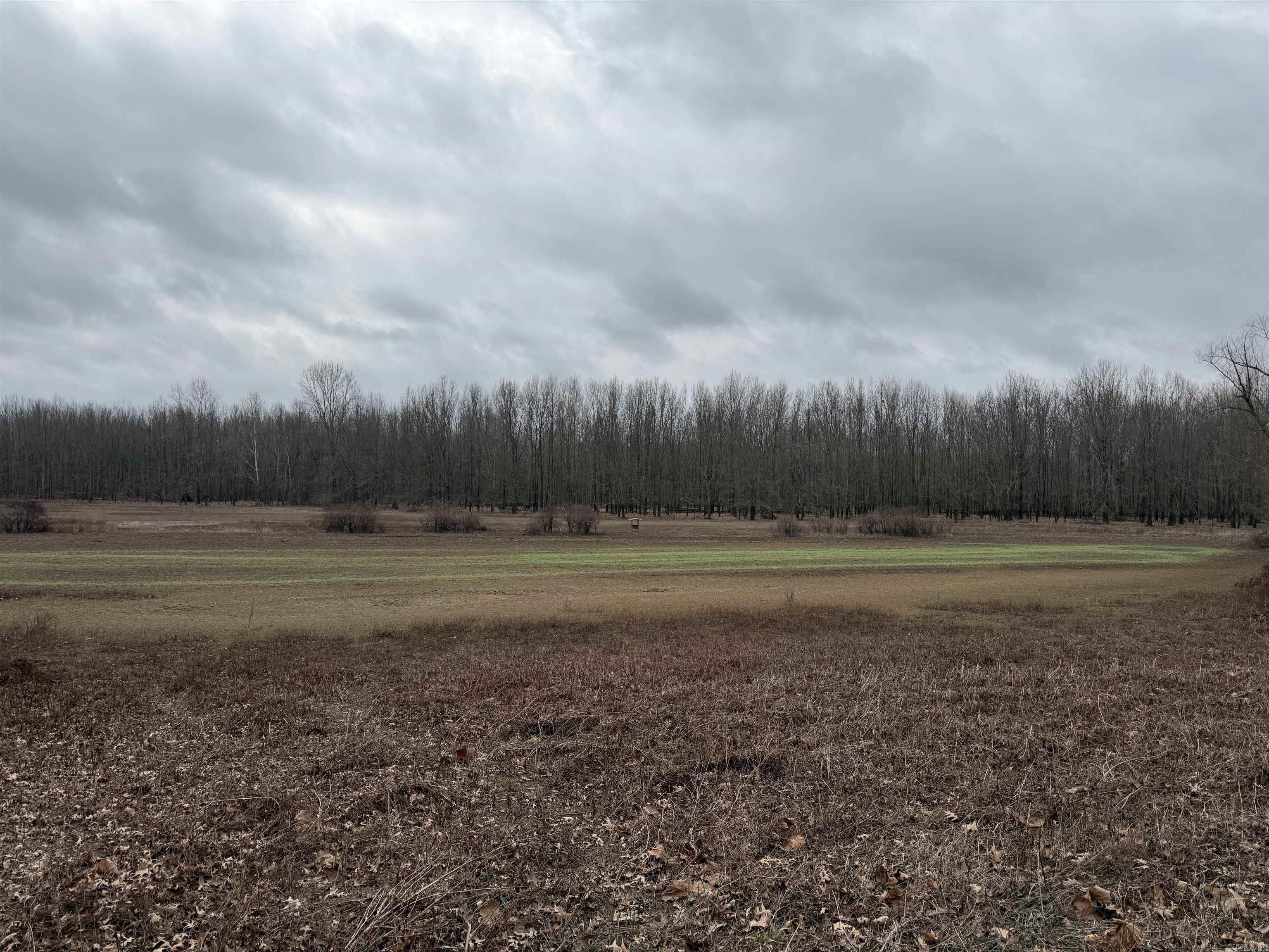 000 CR 884  Augusta, AR