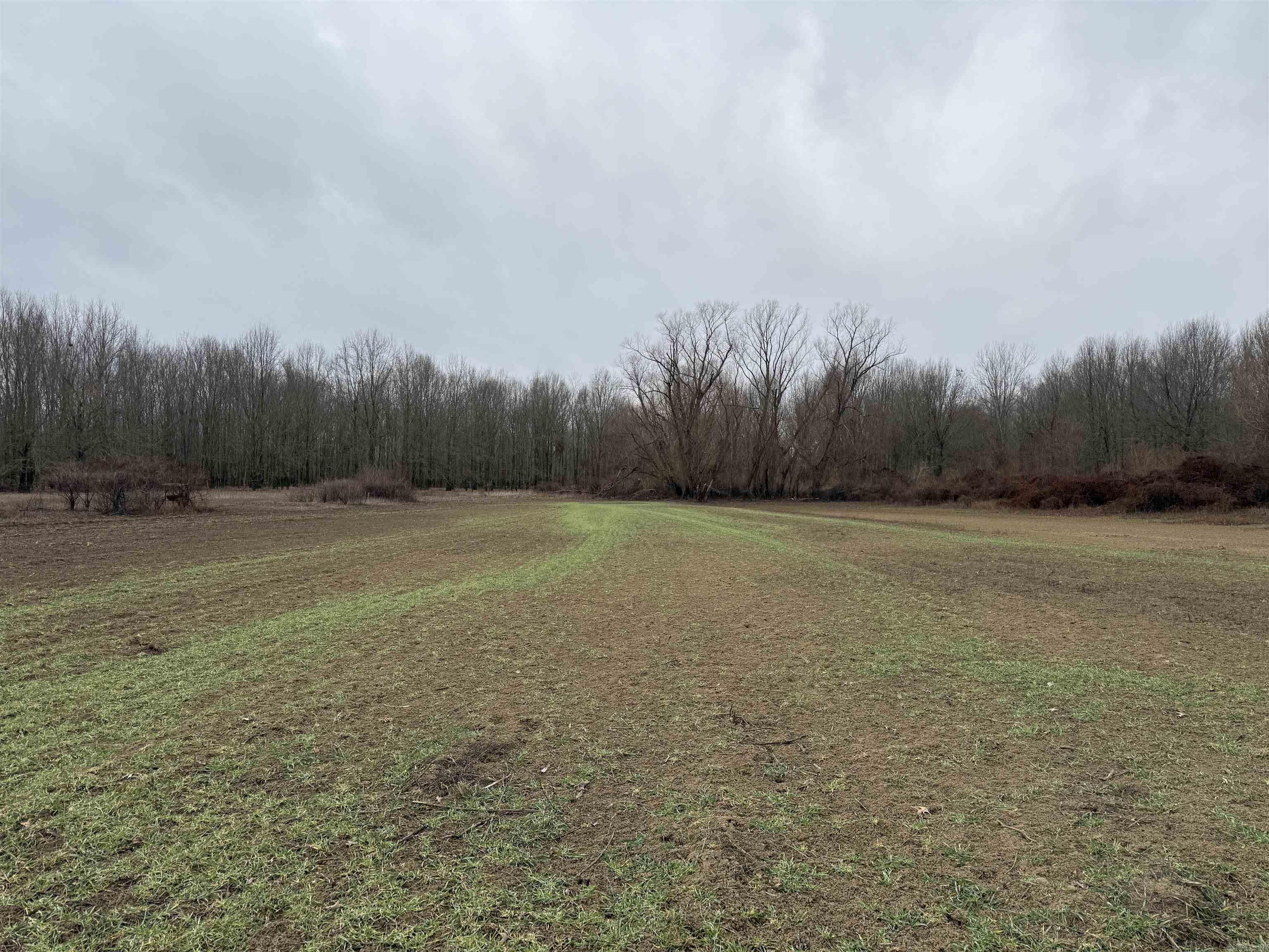 000 CR 884  Augusta, AR