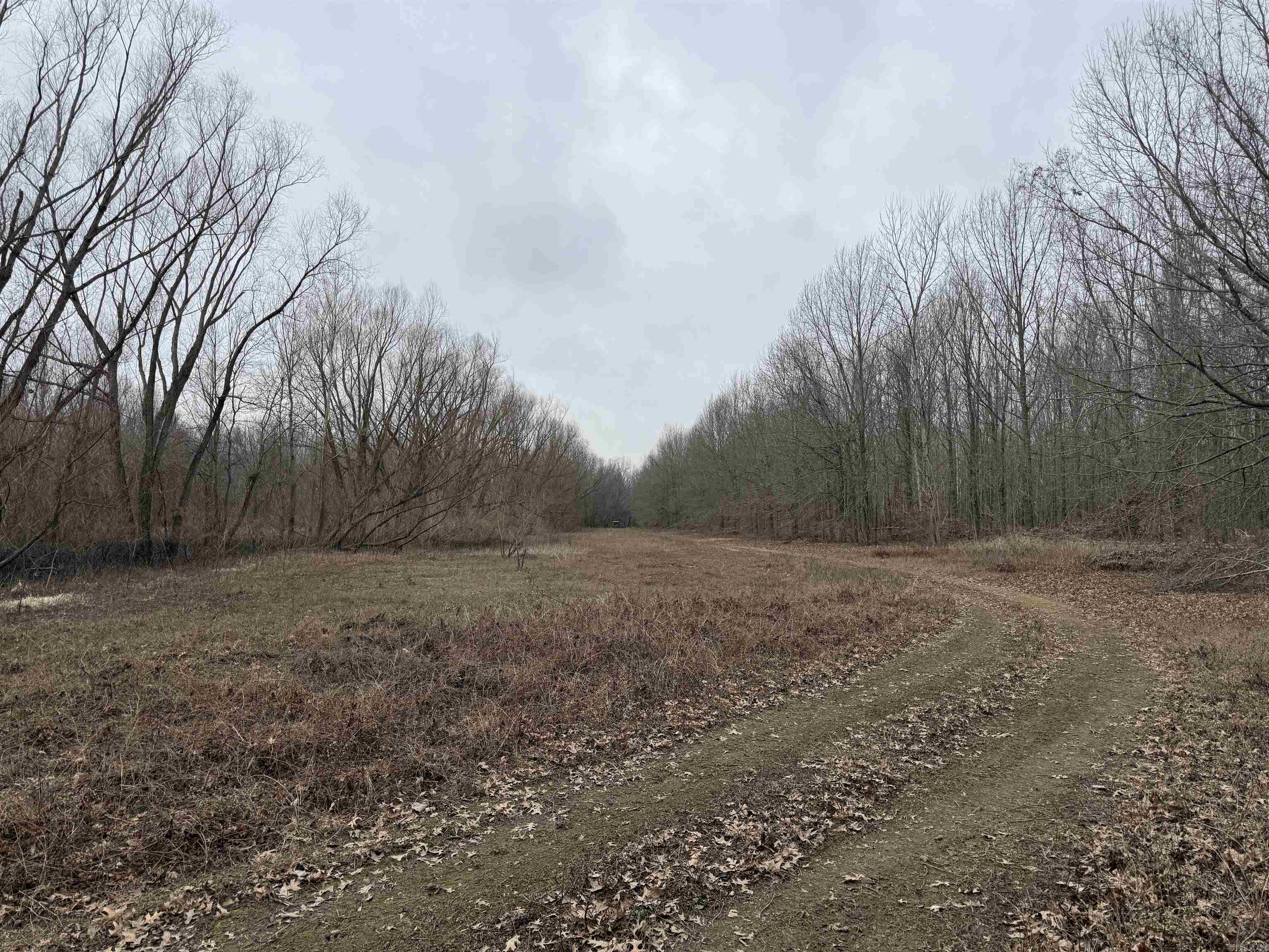 000 CR 884  Augusta, AR