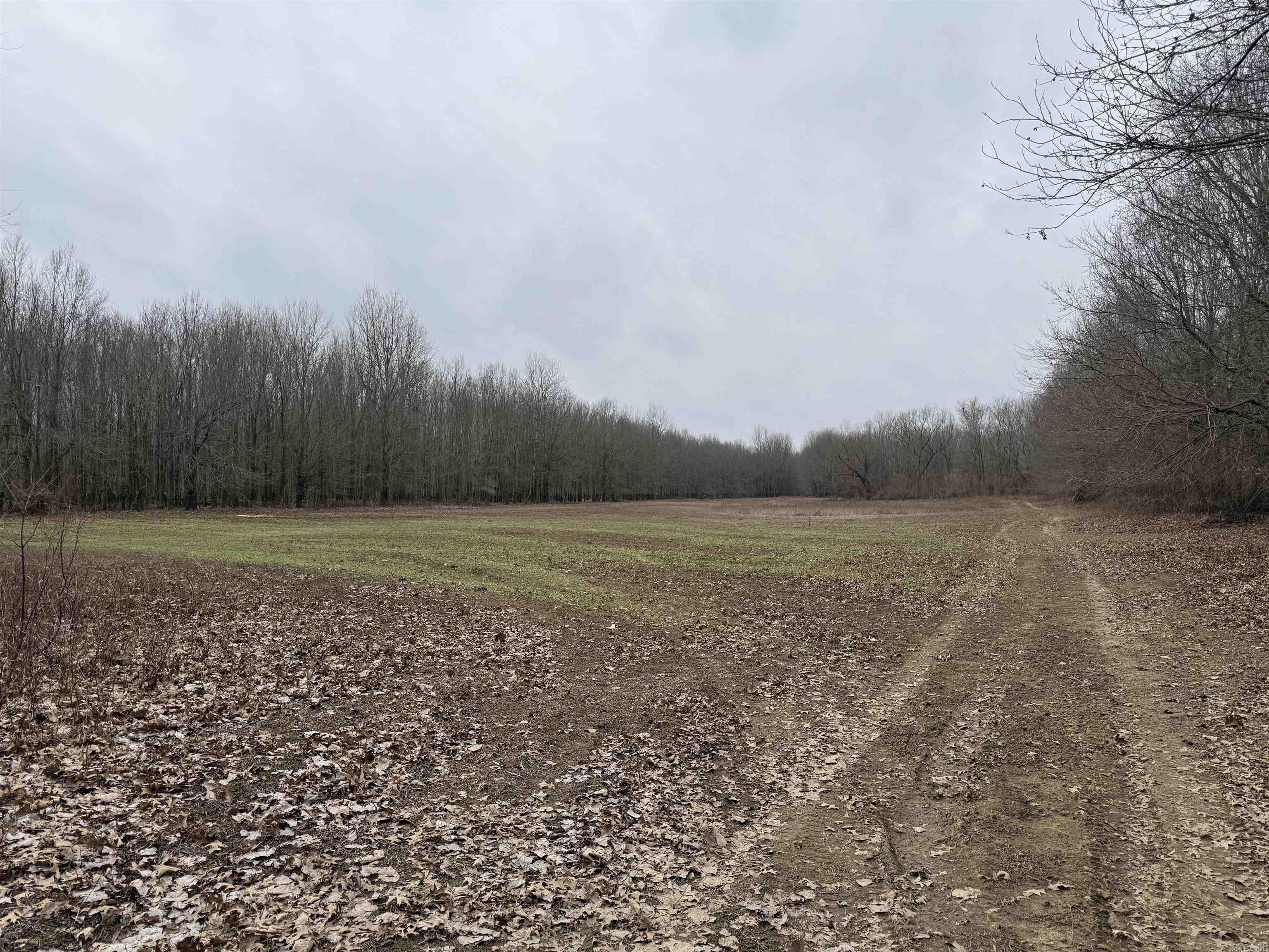 000 CR 884  Augusta, AR