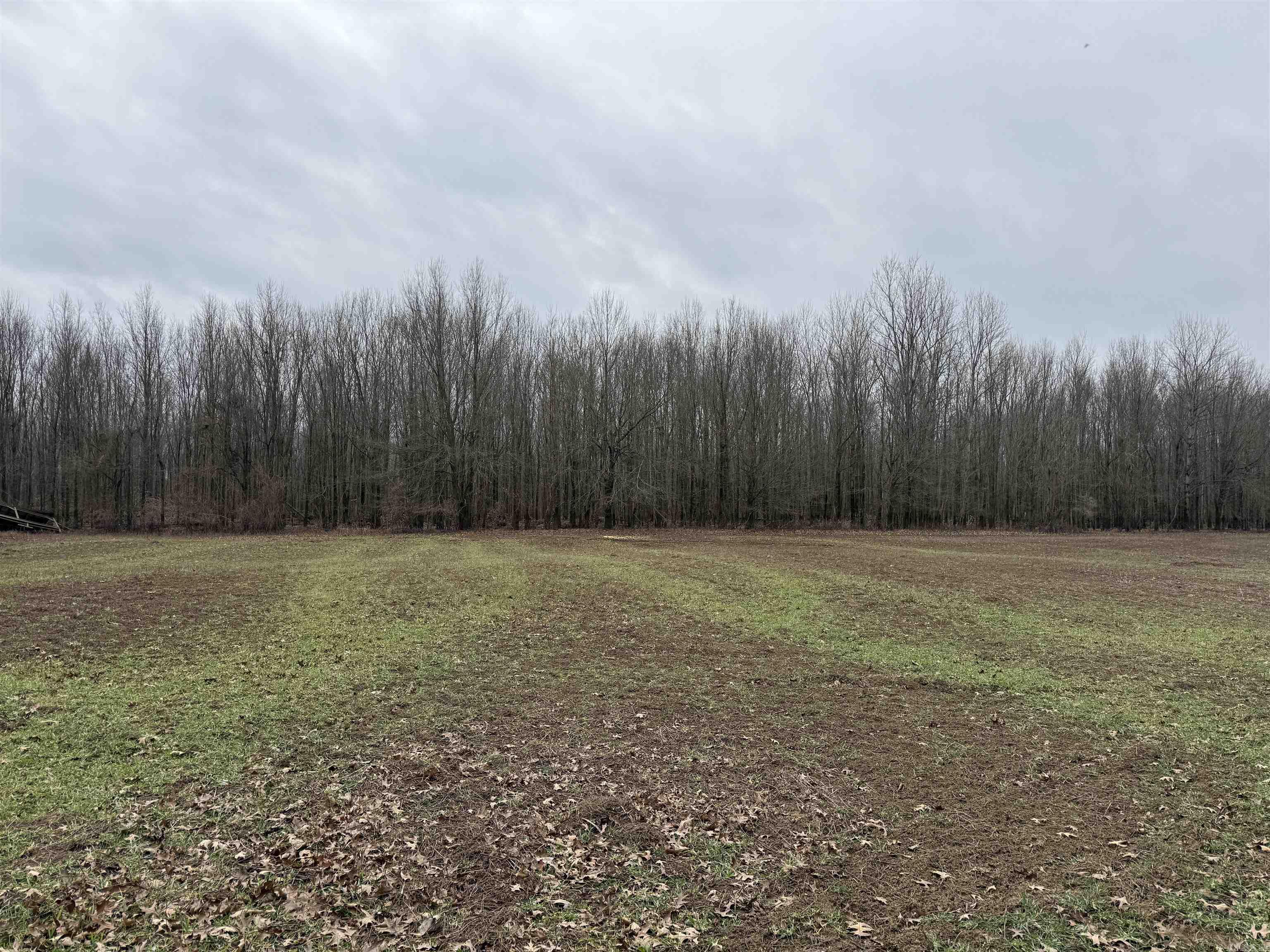 000 CR 884  Augusta, AR