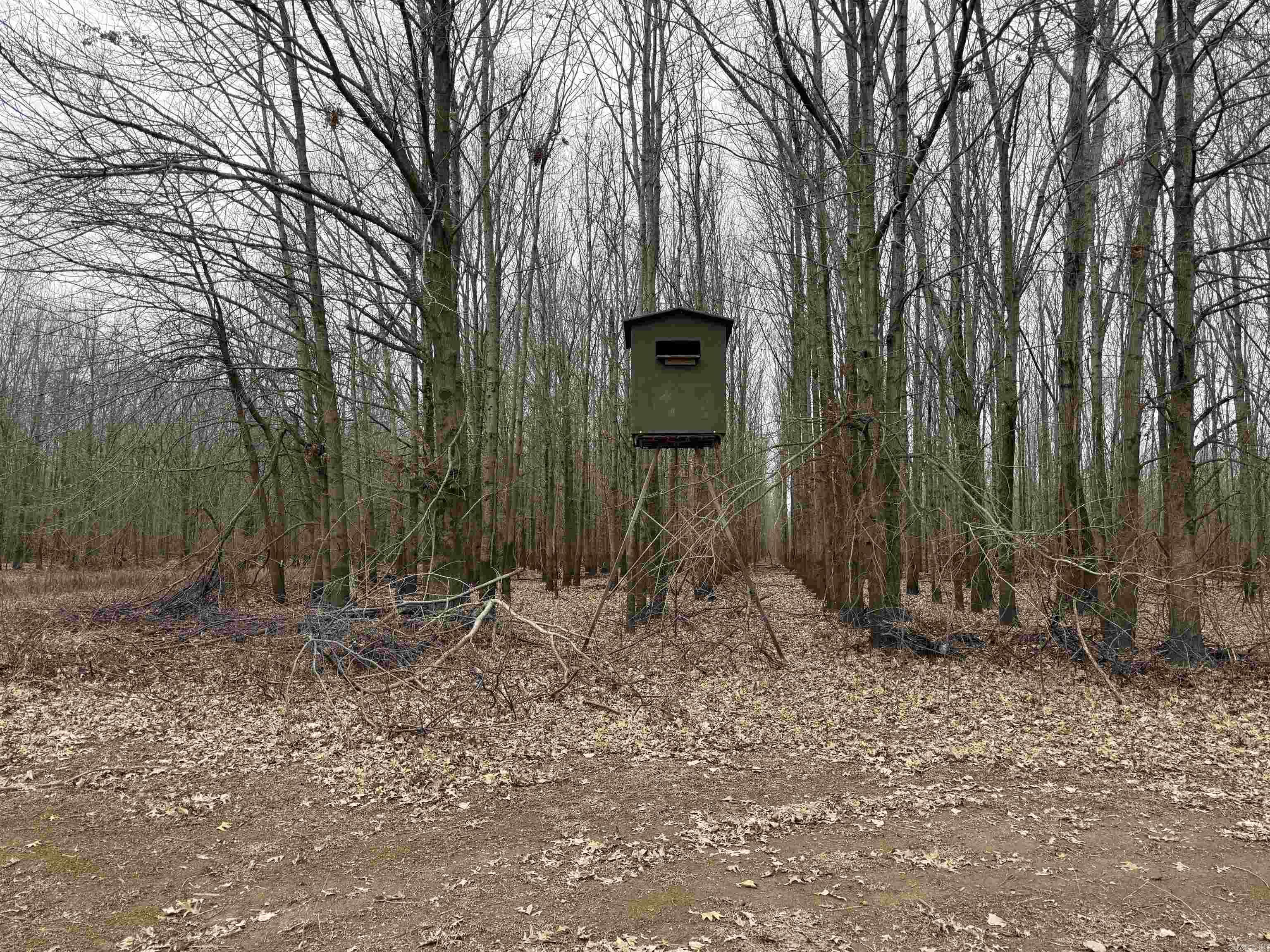 000 CR 884  Augusta, AR