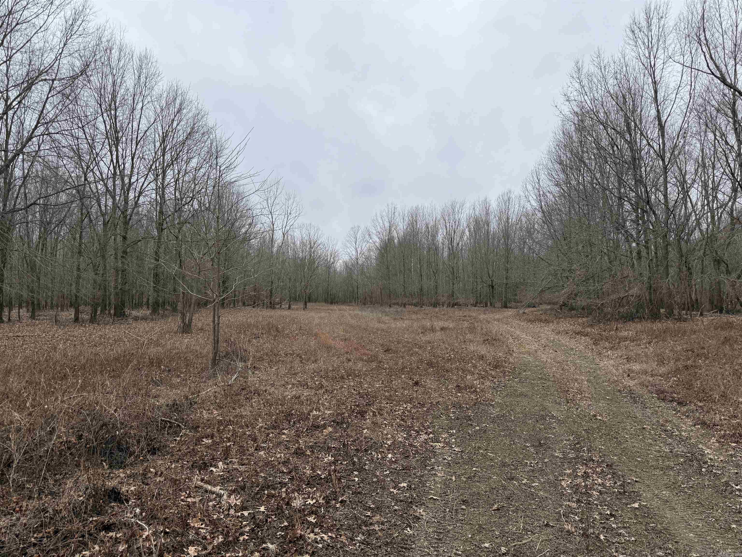 000 CR 884  Augusta, AR