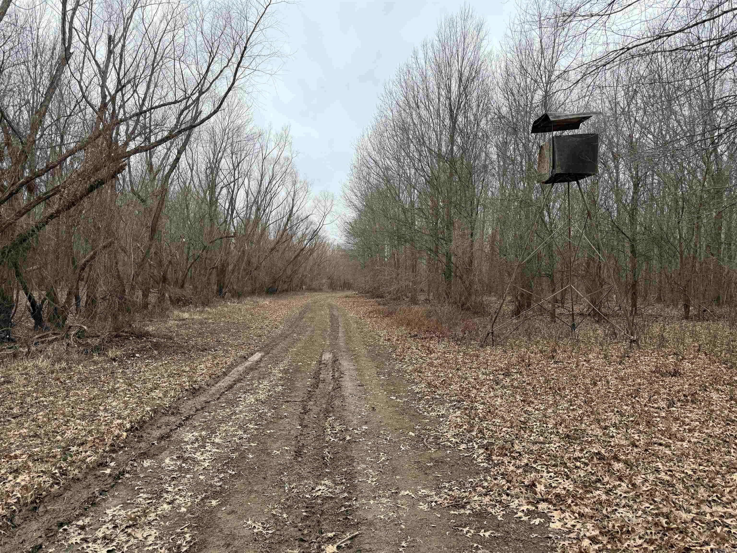 000 CR 884  Augusta, AR