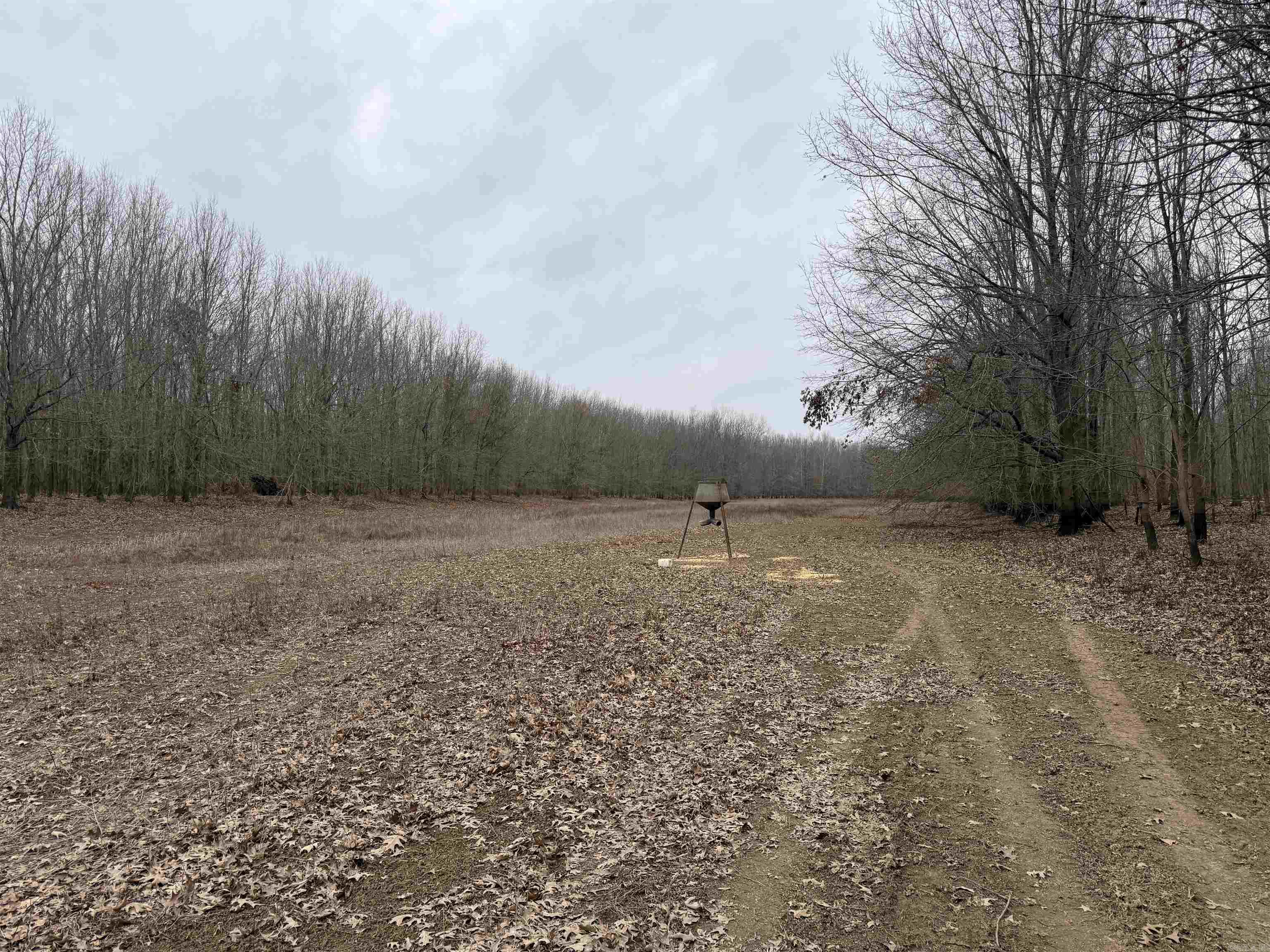 000 CR 884  Augusta, AR