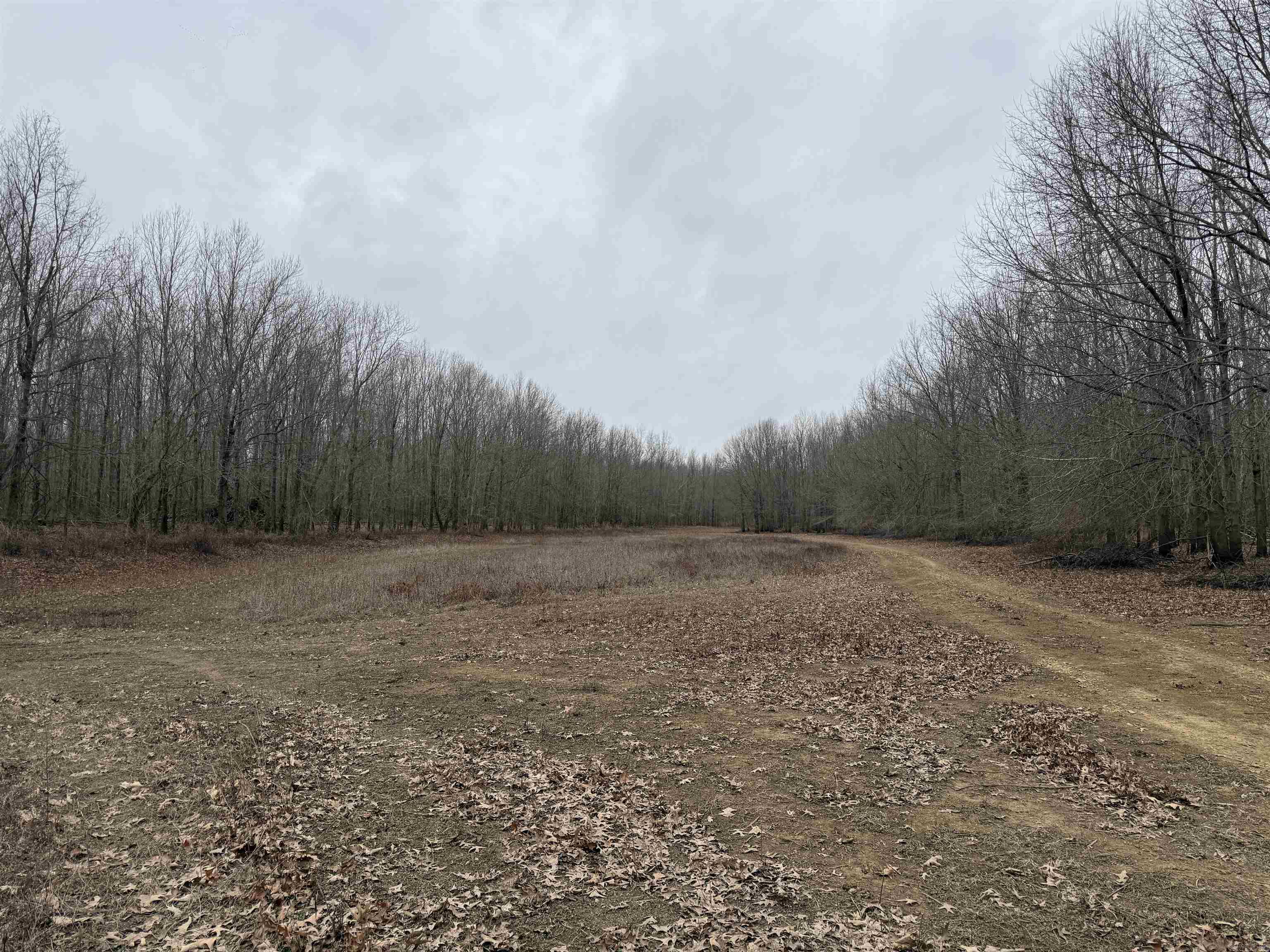 000 CR 884  Augusta, AR