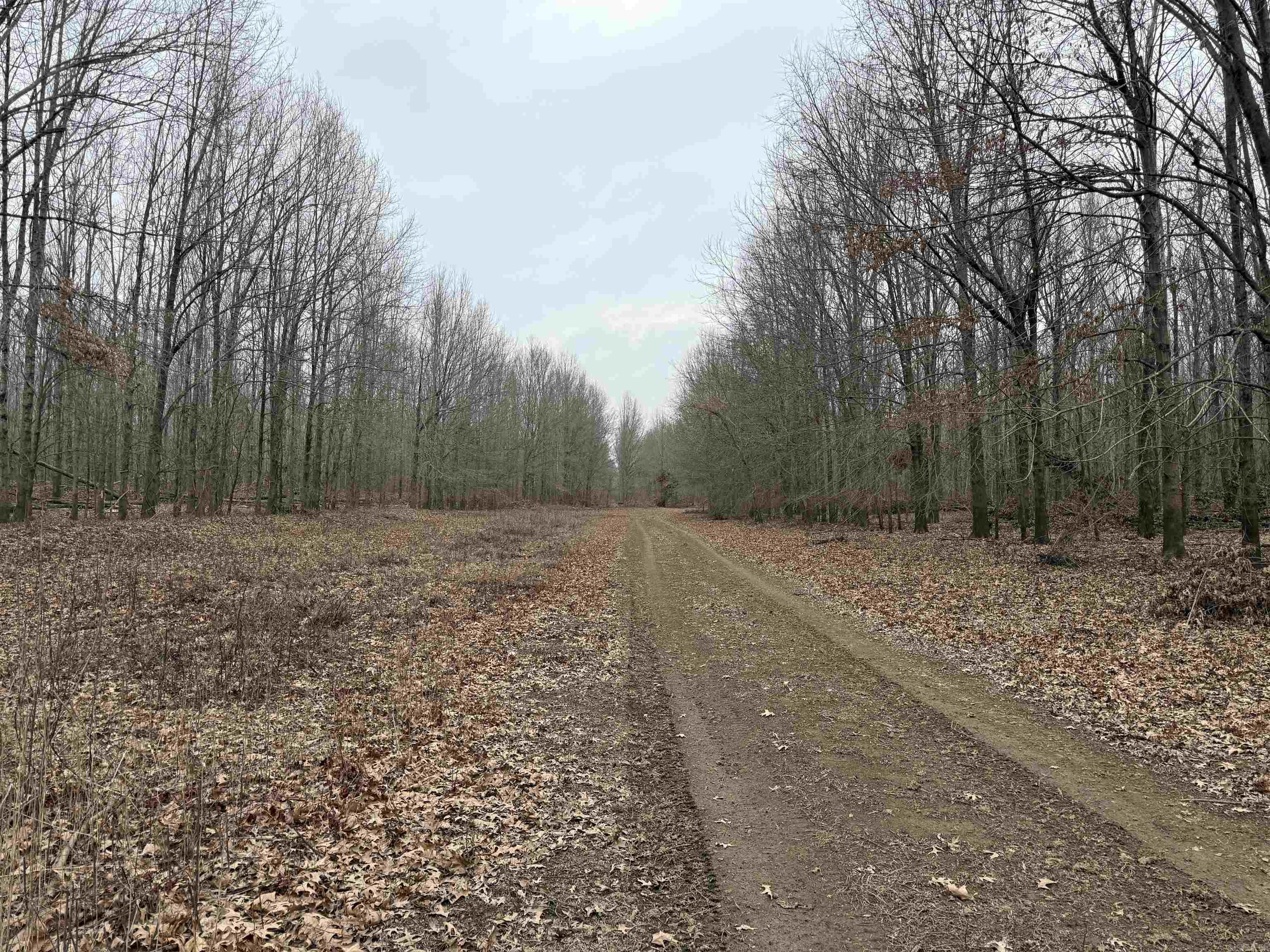 000 CR 884  Augusta, AR