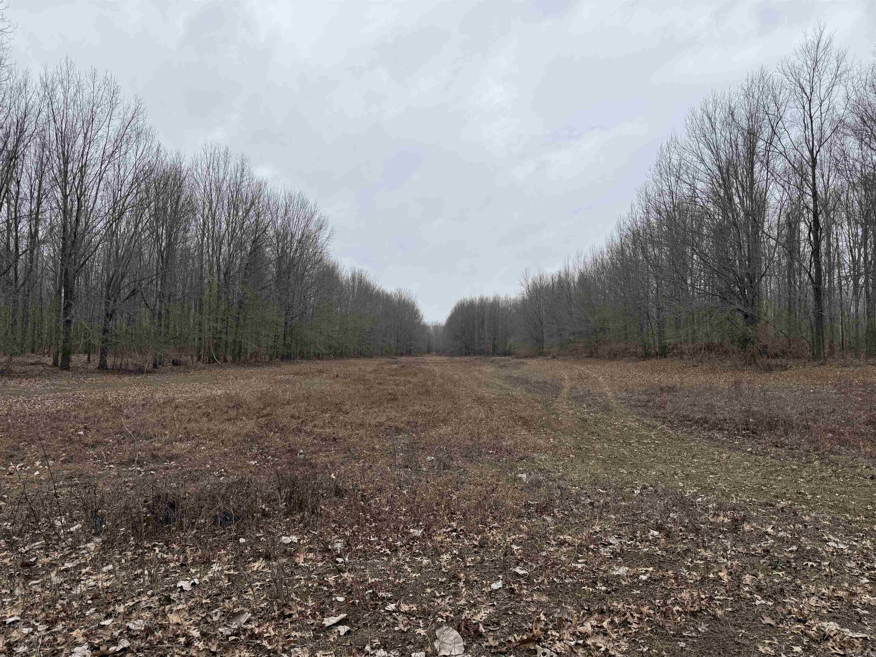 000 CR 884  Augusta, AR